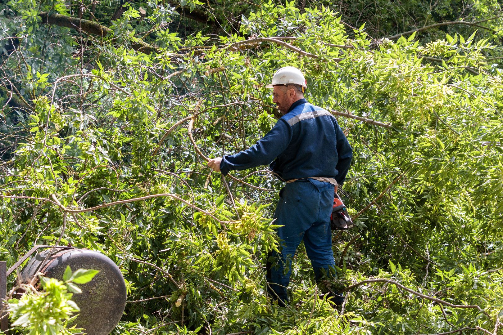 благоустройство, сквер чернышева, лыткарино, парки,