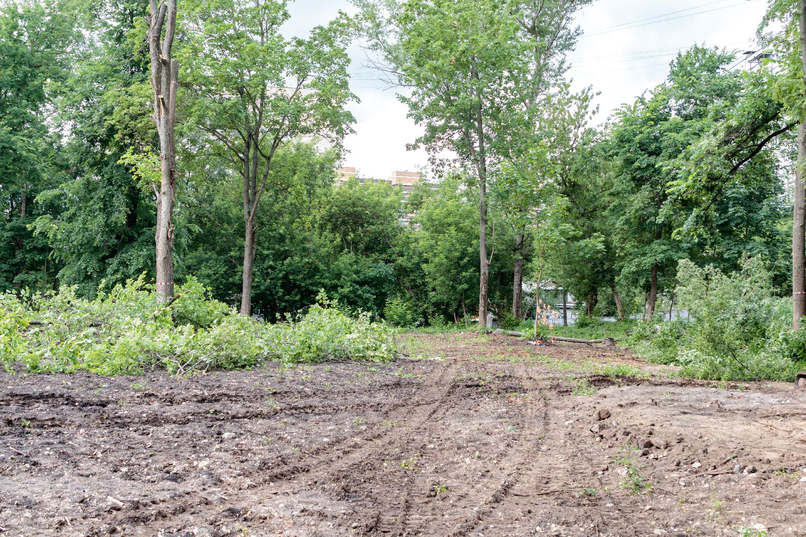 благоустройство, сквер чернышева, лыткарино, парки,
