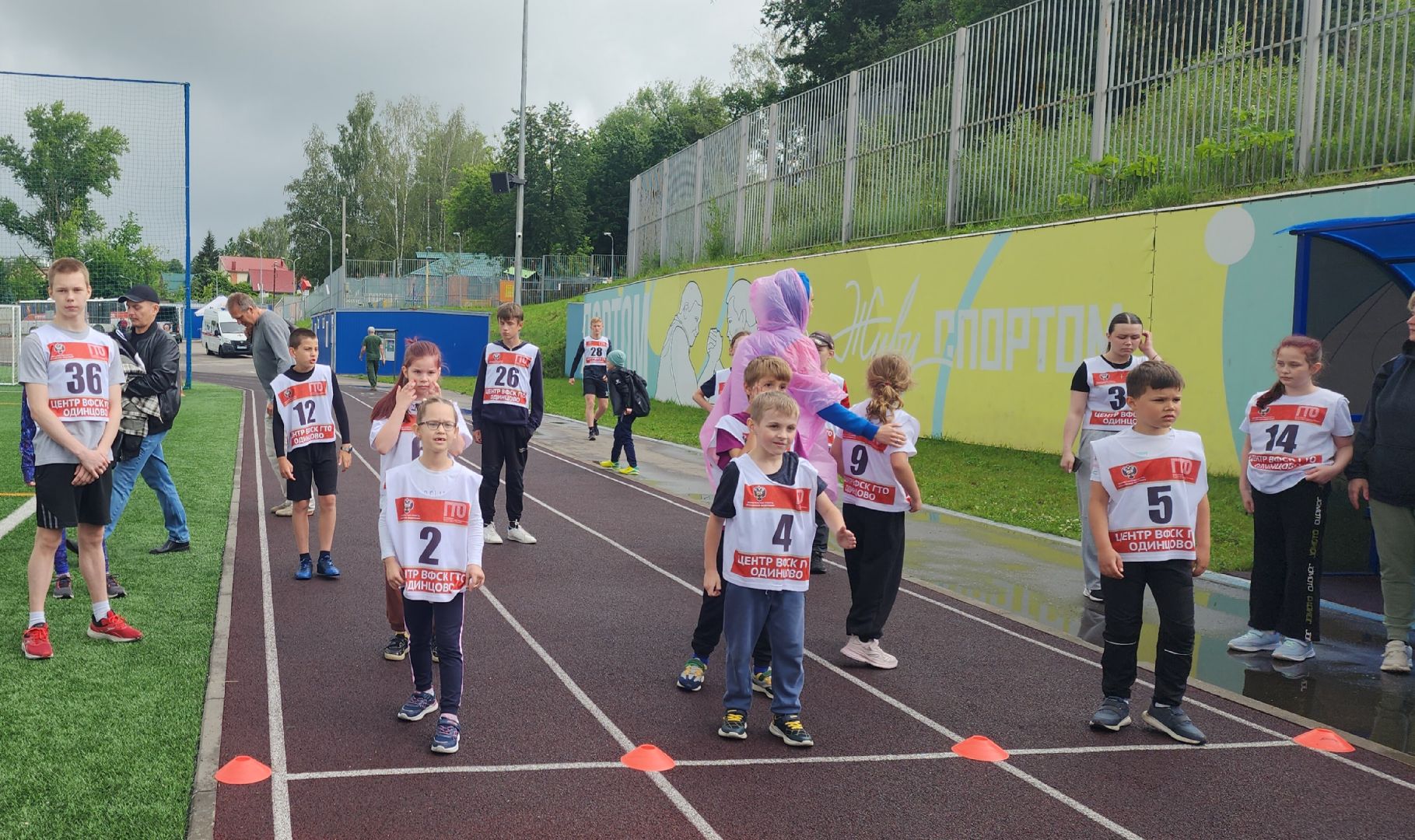 Спорт , ГТО,