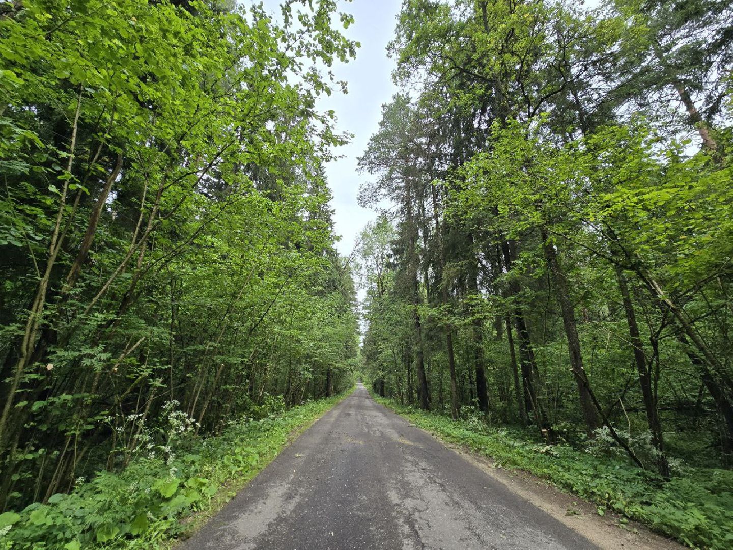 можайск, можайский муниципальный округ,  подмосковье, выездная администрация , встреча с жителями, обращения граждан, власть,