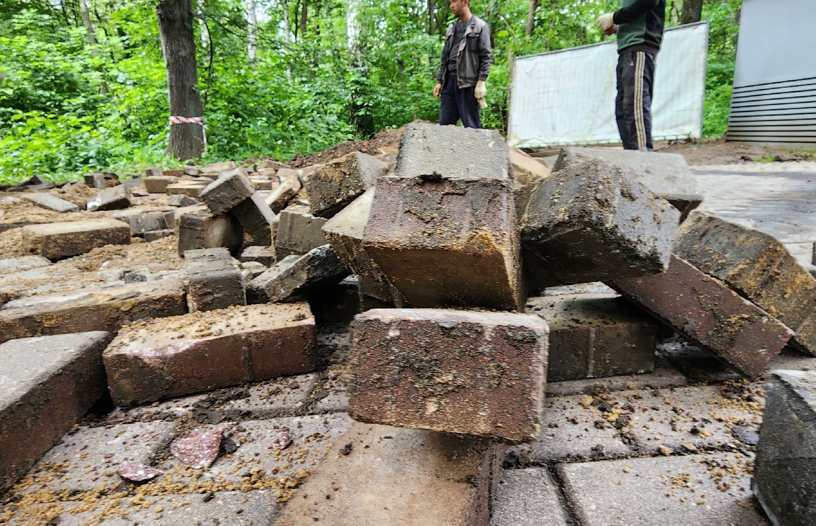 Химки, Благоустройство , Парки,