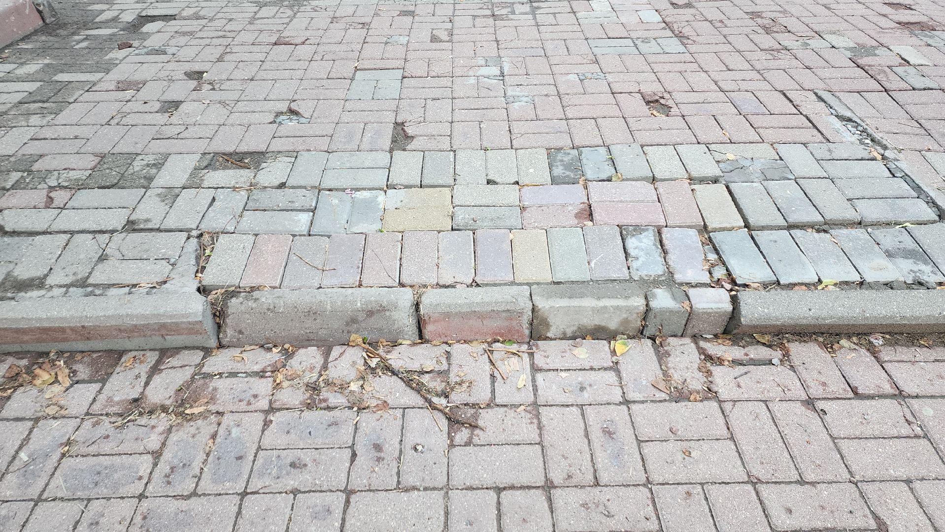 пушкино, вертикалки, ремонт, ступени, бульвар, благоустройство,добродел,