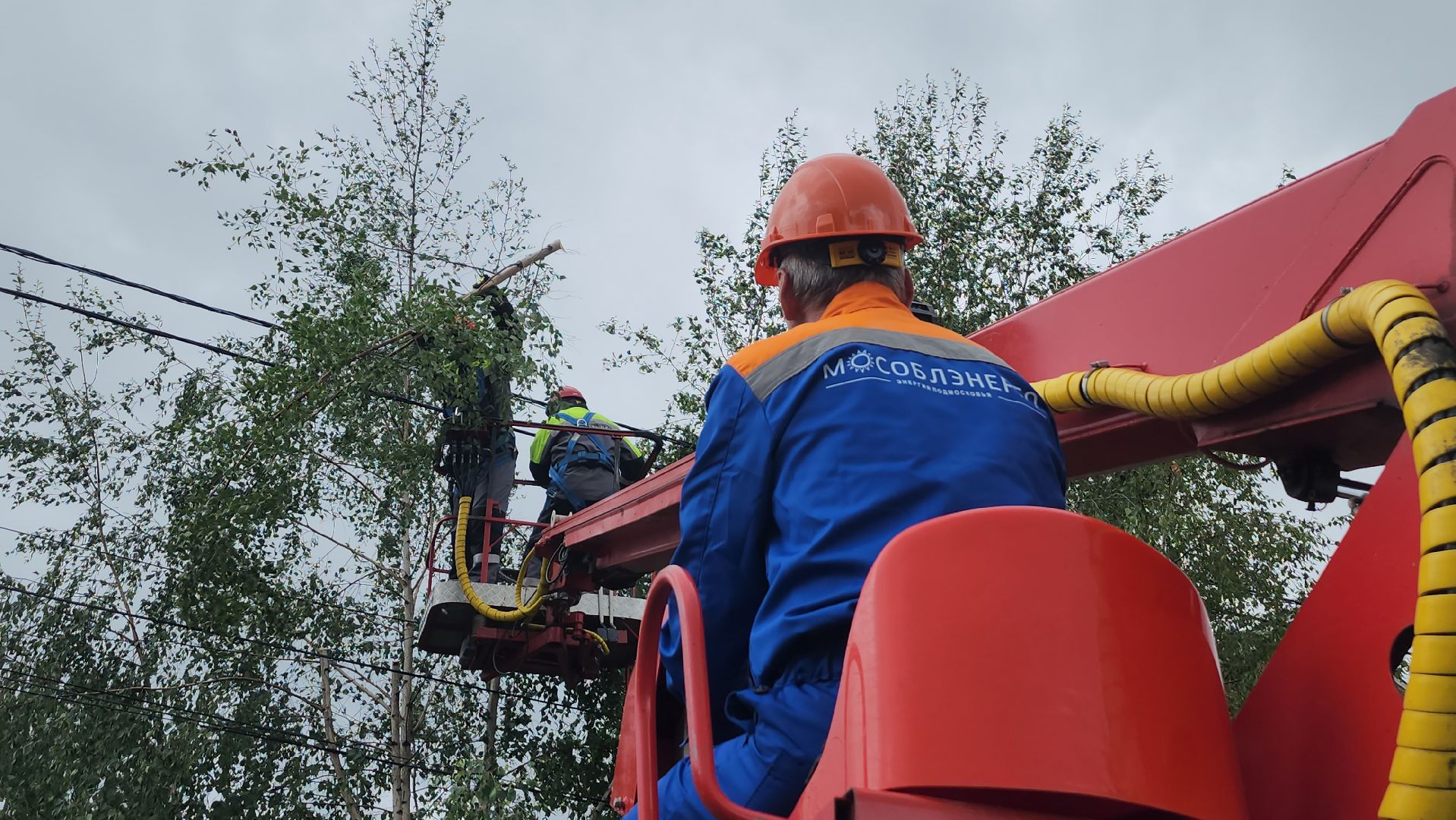 серпухов, улица мира, мособлэнерго, линия электропередач, жкх,