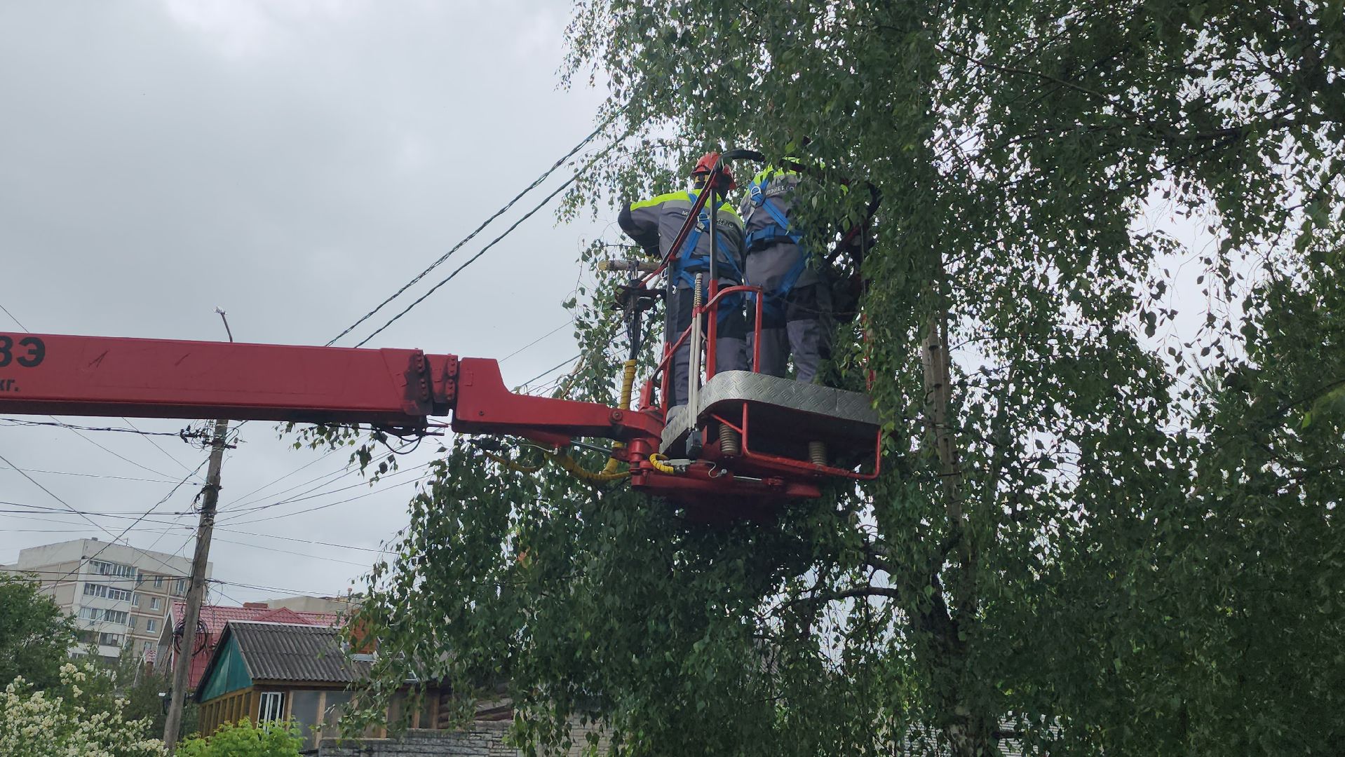 серпухов, улица мира, мособлэнерго, линия электропередач, жкх,