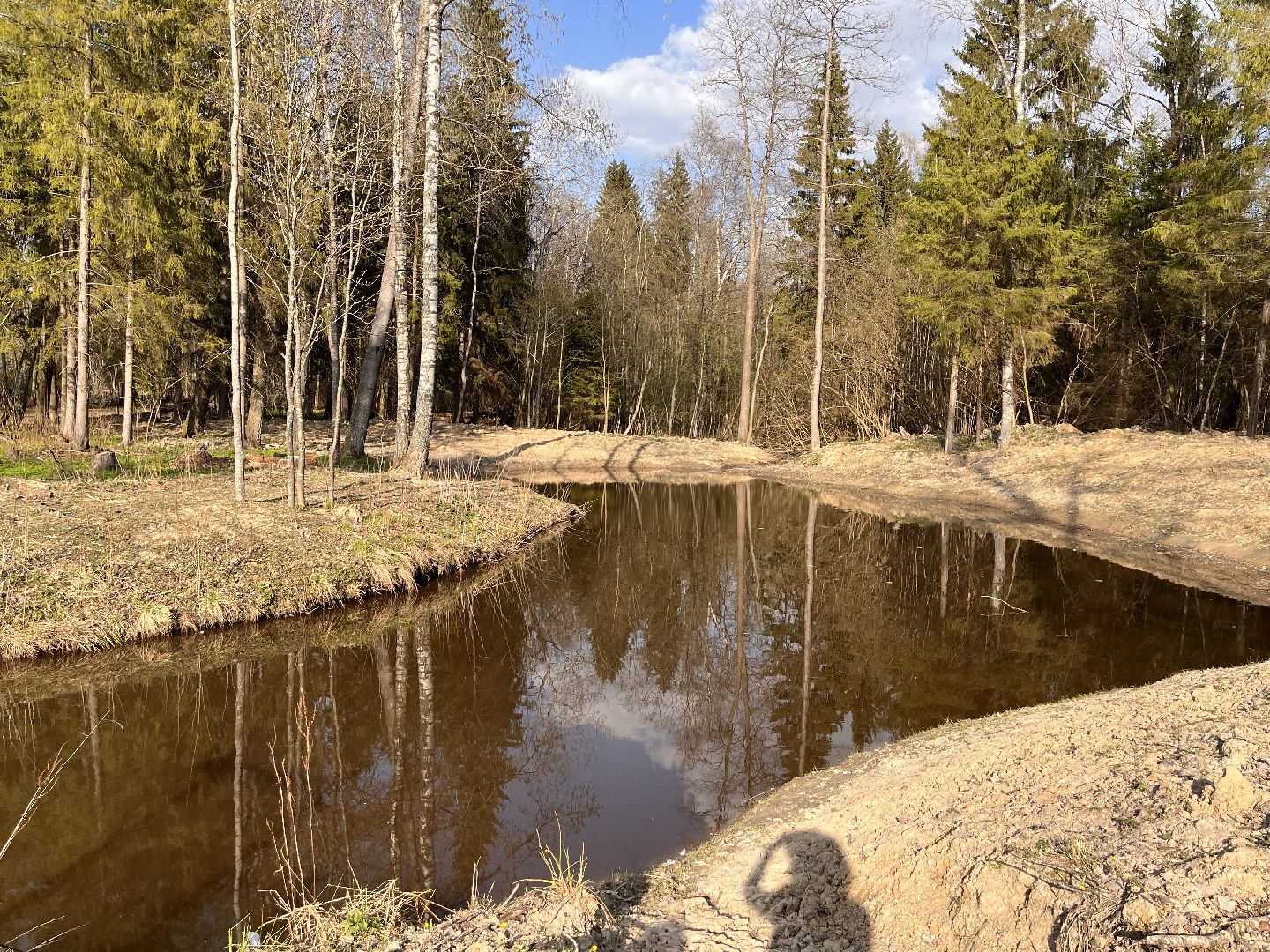 Шаховская, ферма, хозяйство