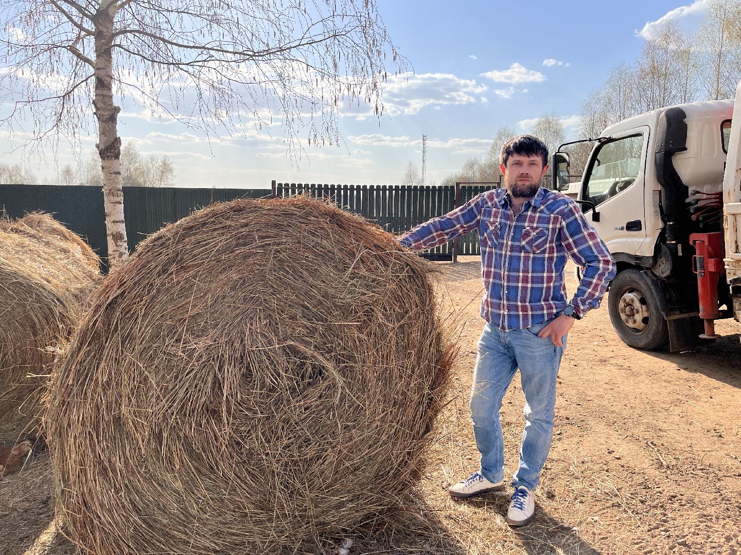 Шаховская, ферма, хозяйство