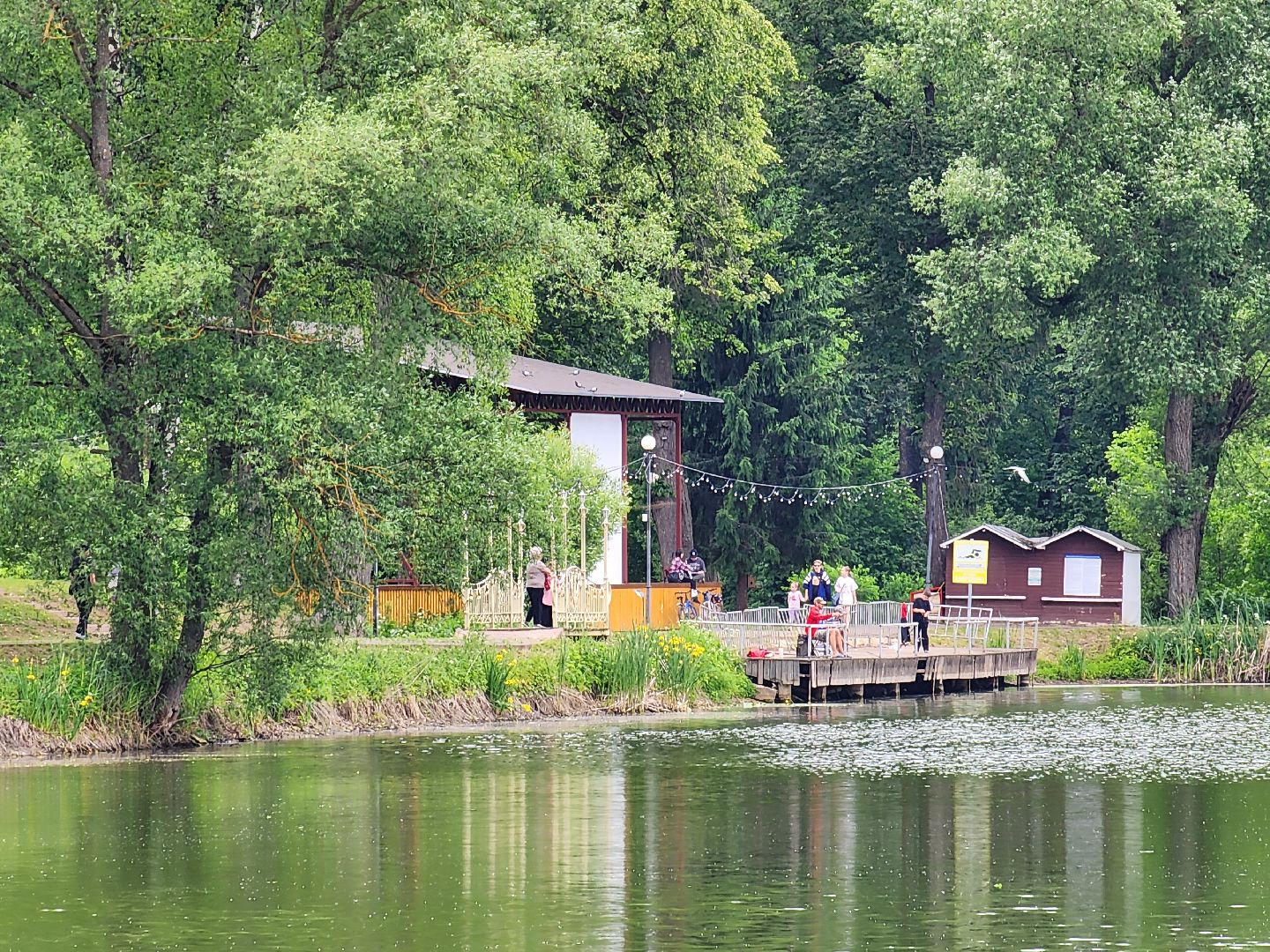 чехов, улица пушкина, парк культуры и отдыха, реконструкция, благоустройство, тропинки, спортивные площадки, парковка, кафе, госпрограмма московской области, формирование комфортной городской среды,