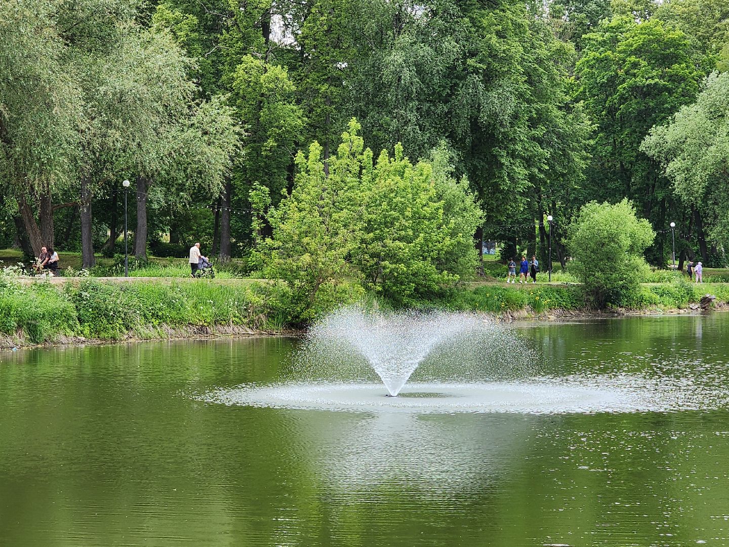 чехов, улица пушкина, парк культуры и отдыха, реконструкция, благоустройство, тропинки, спортивные площадки, парковка, кафе, госпрограмма московской области, формирование комфортной городской среды,