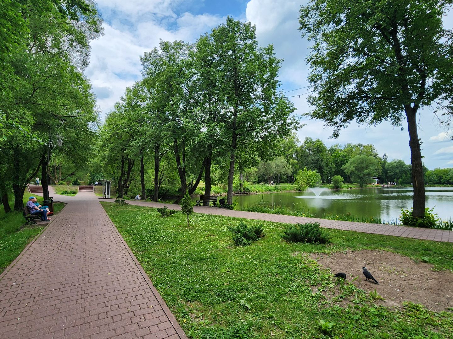 чехов, улица пушкина, парк культуры и отдыха, реконструкция, благоустройство, тропинки, спортивные площадки, парковка, кафе, госпрограмма московской области, формирование комфортной городской среды,