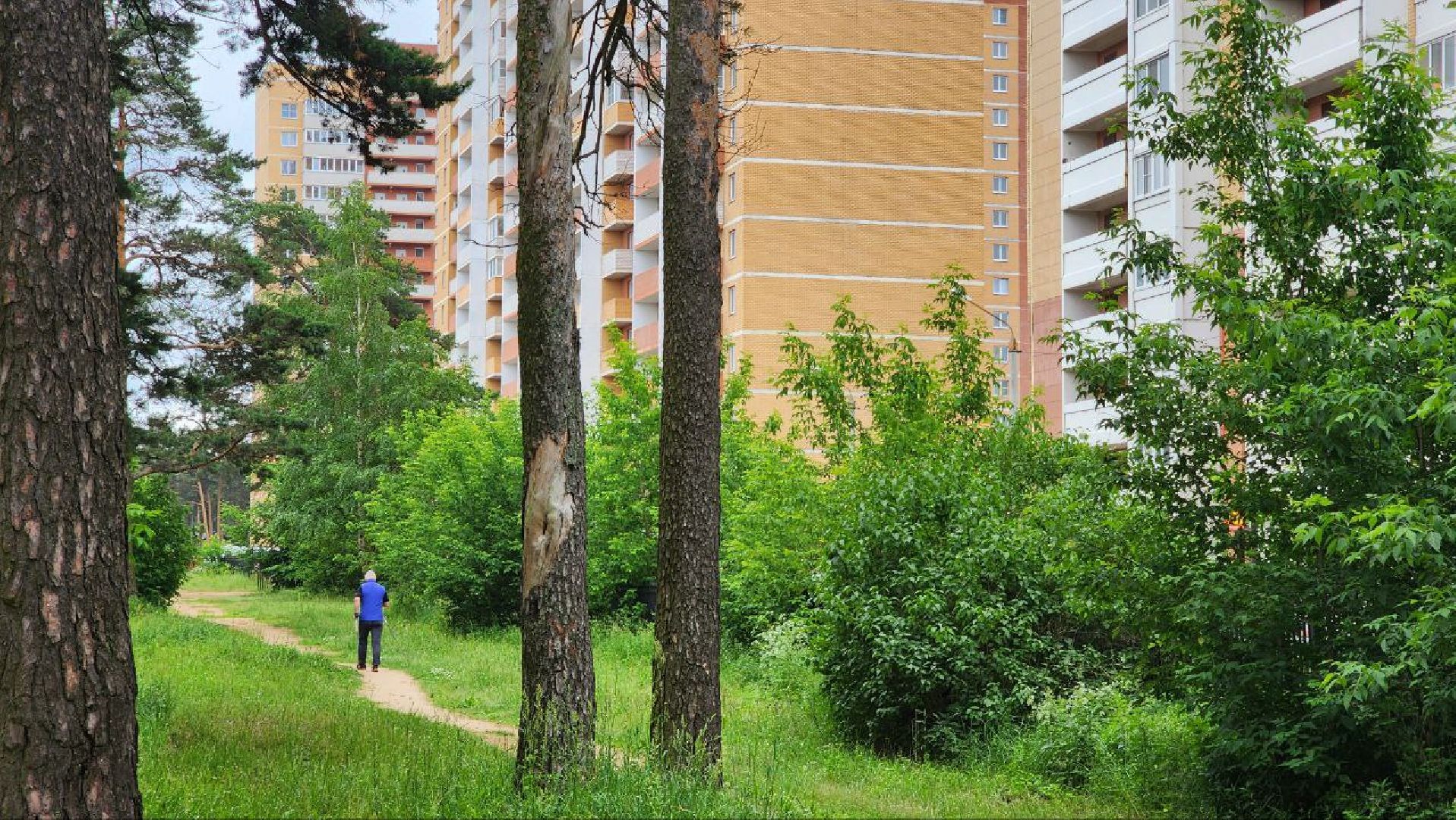 Дмитров, Парк Сосновый бор, ДЗФС, Минблаго,