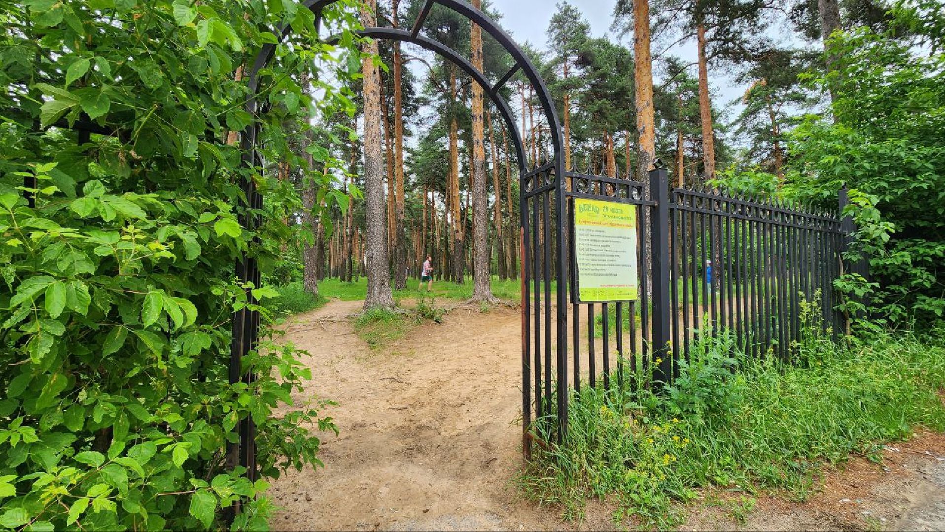 Дмитров, Парк Сосновый бор, ДЗФС, Минблаго,