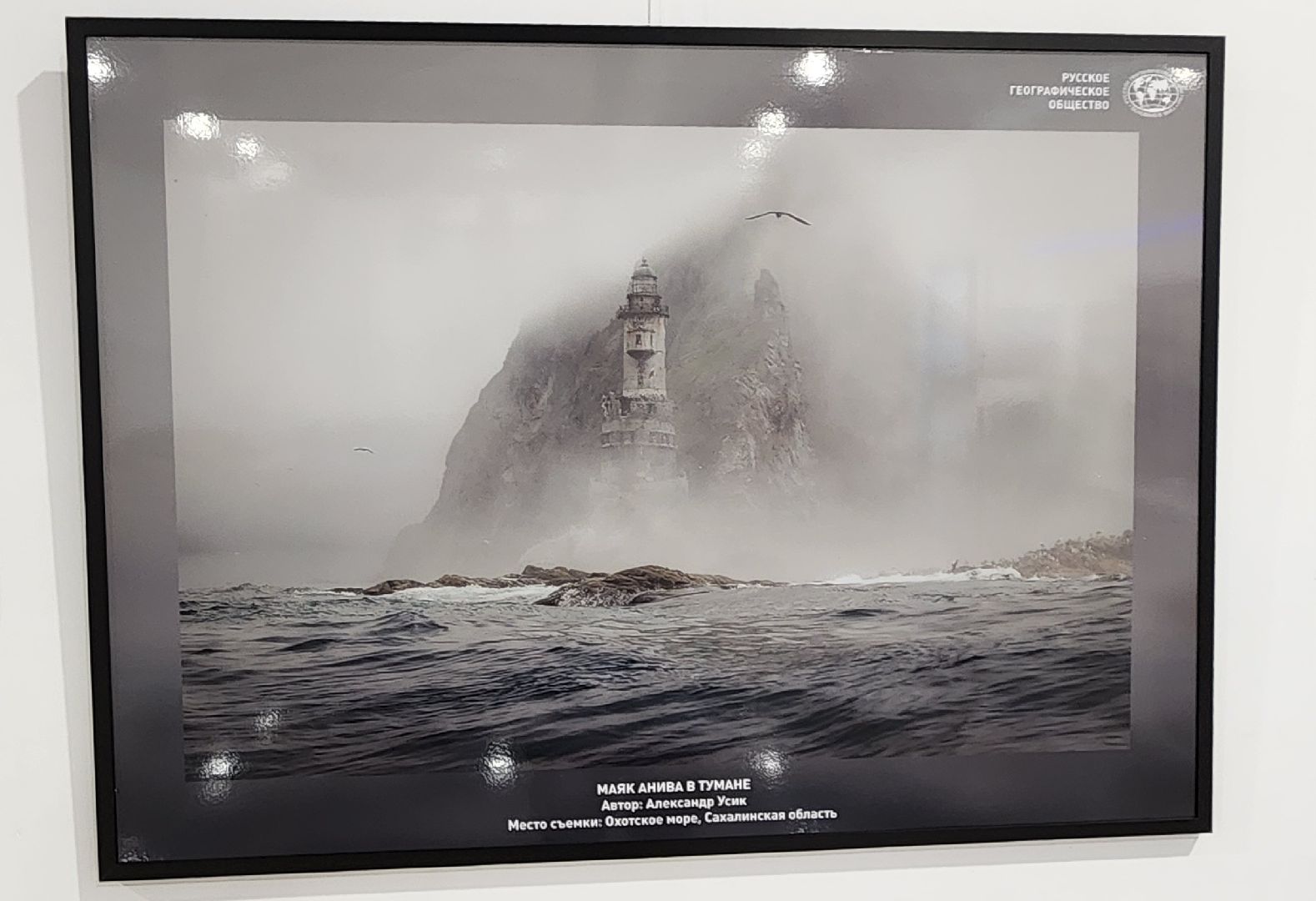 Химки, культура, Искусство , Фотография ,