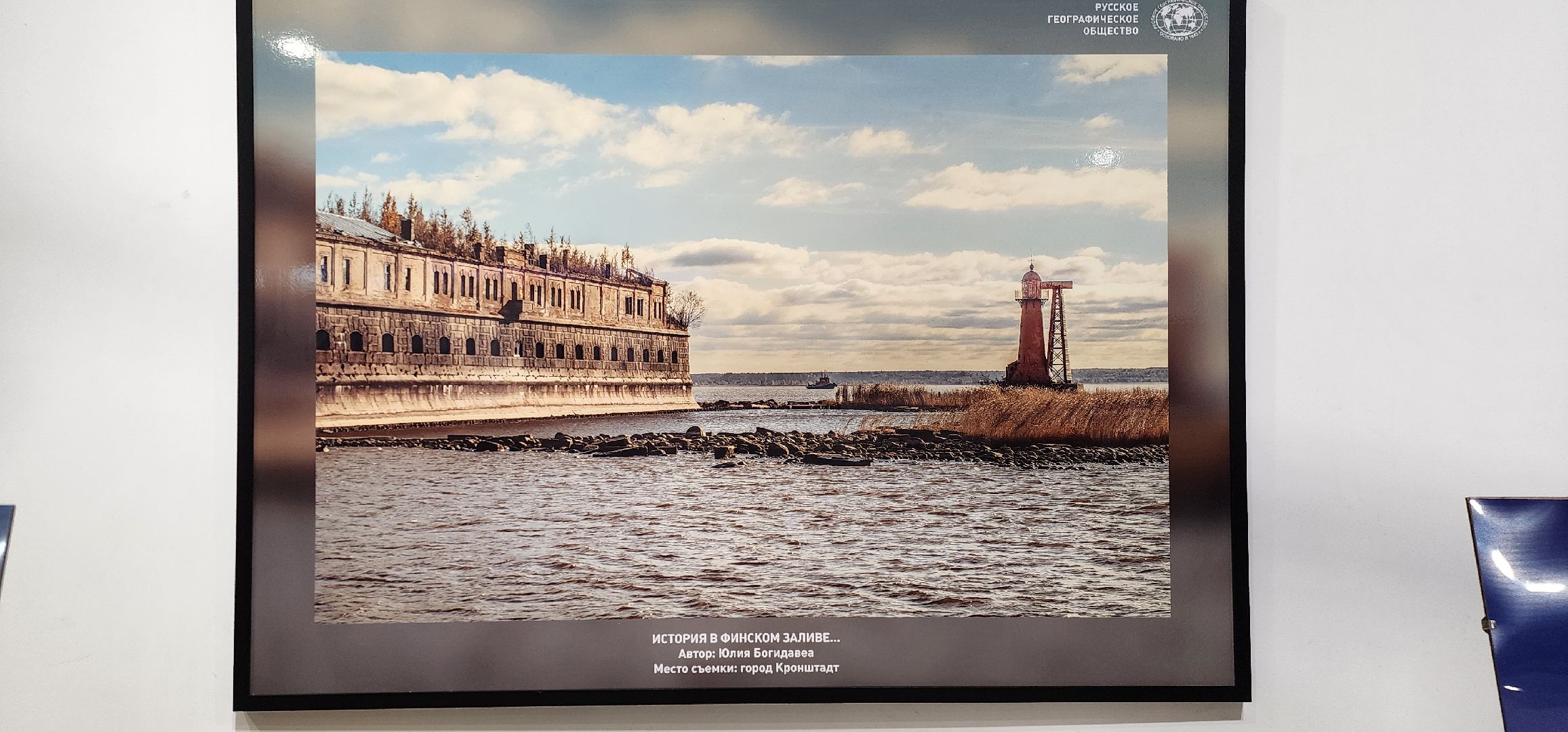 Химки, культура, Искусство , Фотография ,