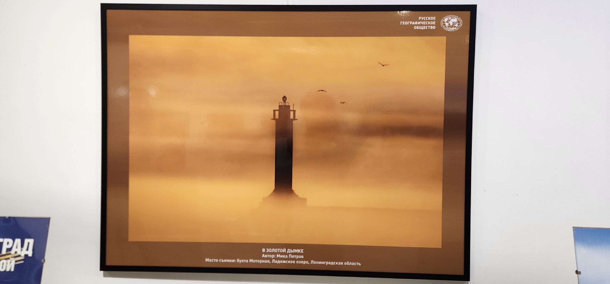 Химки, культура, Искусство , Фотография ,