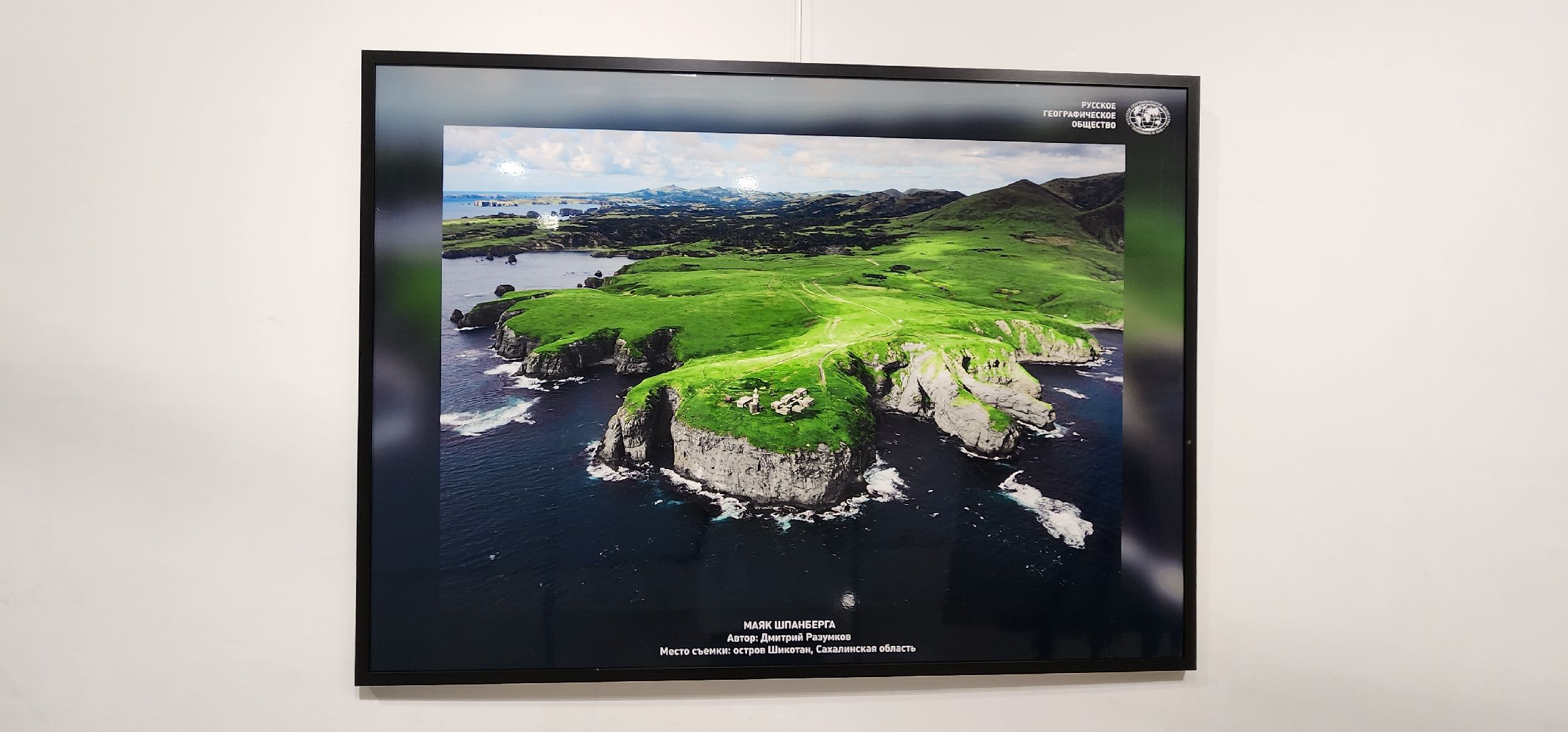 Химки, культура, Искусство , Фотография ,