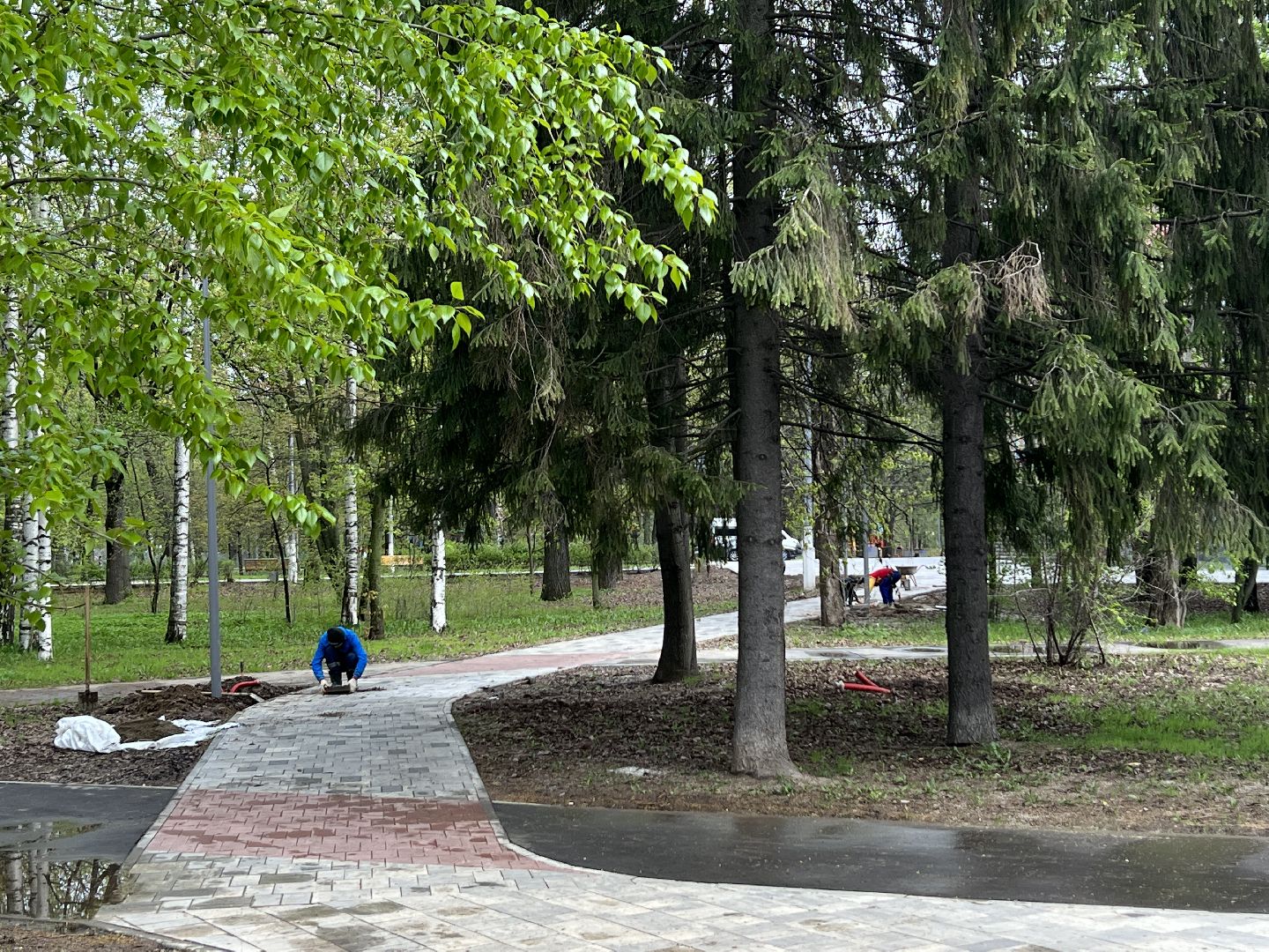 Химки, парк Толстого, благоустройство, замена плитки, городская среда