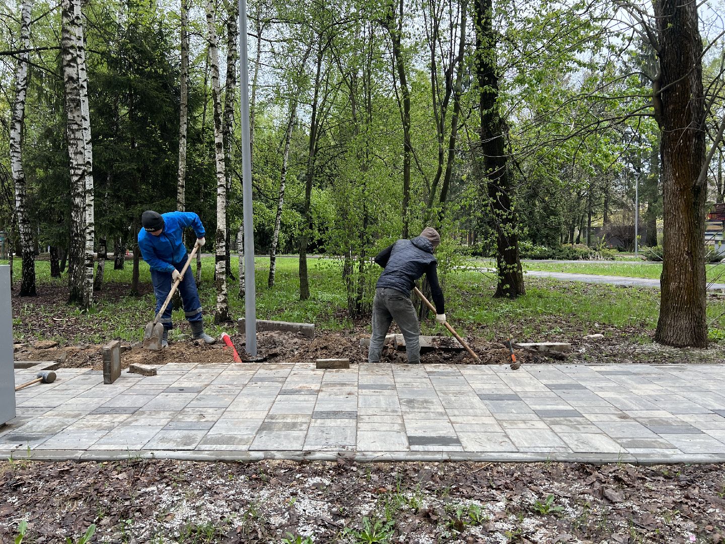 Химки, парк Толстого, благоустройство, замена плитки, городская среда