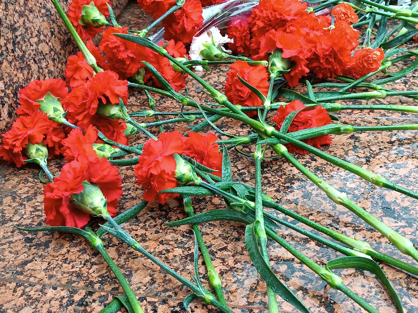 котельники, дк силикат, день памяти и скорби, 22 июня,