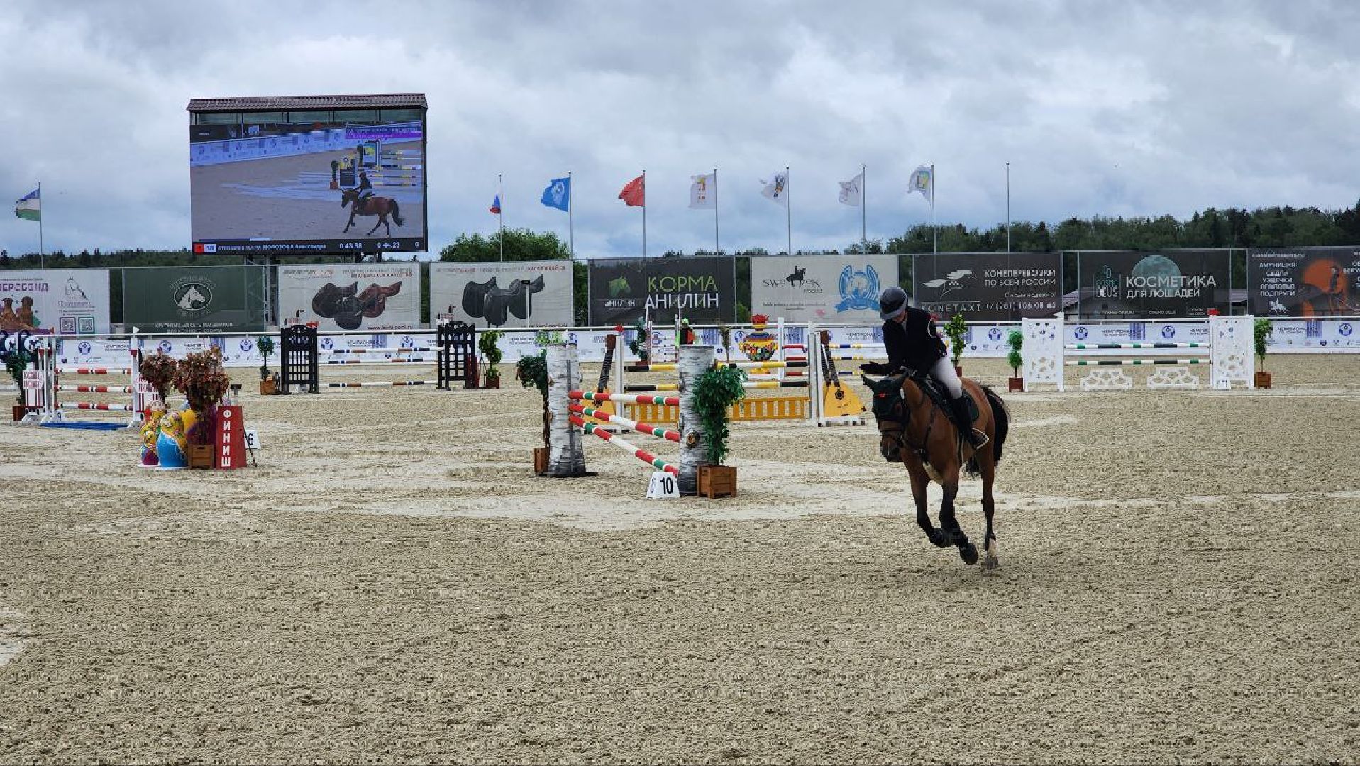 Дмитров, Максима Парк, Конкур, Минспорта,