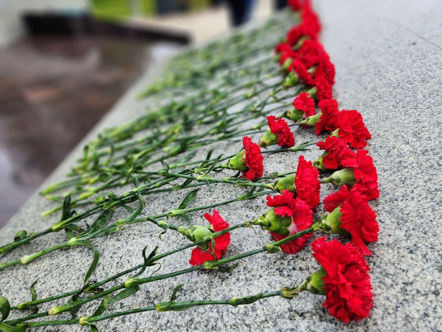 фрязино, день памяти и скорби, возложение цветов, митинг памяти,