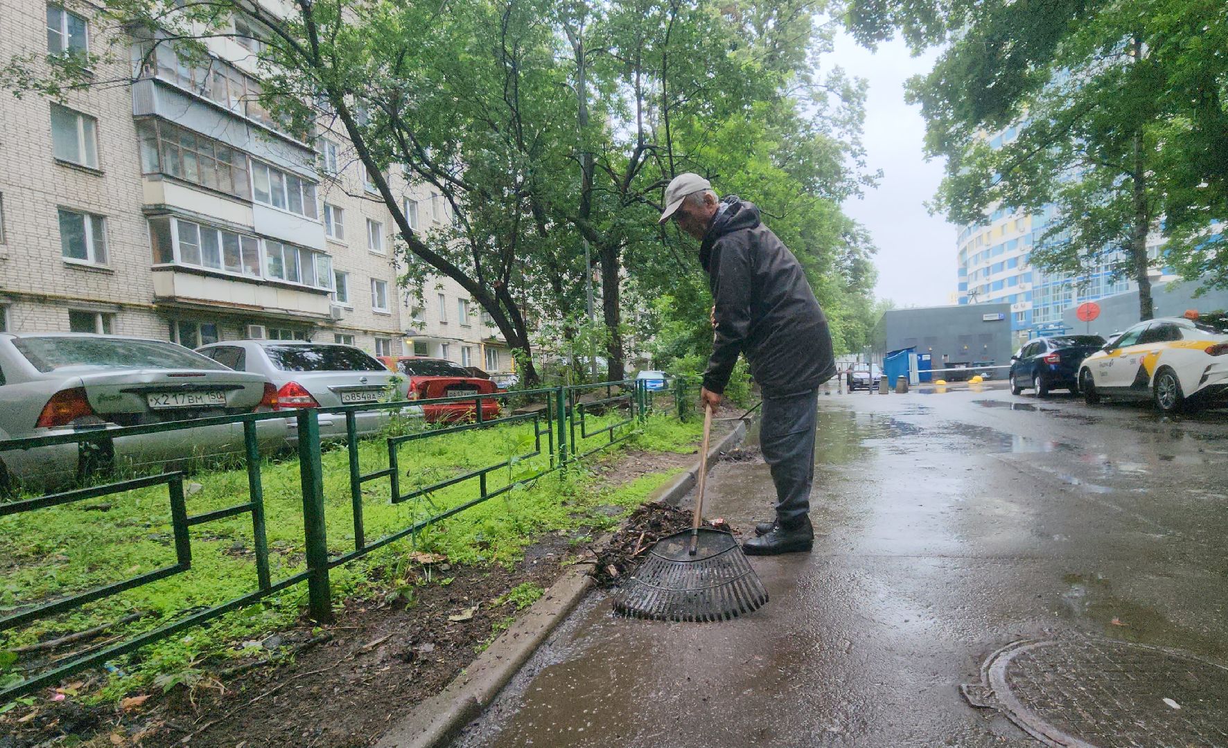 Химки , Благоустройство , Уборка улиц,