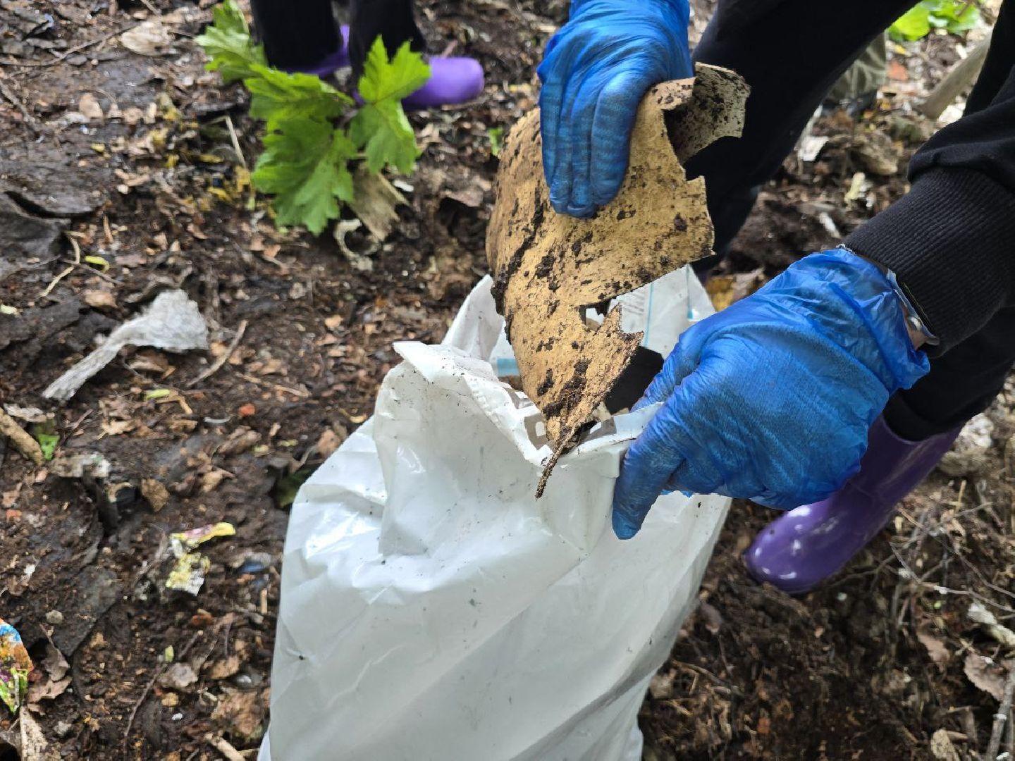 можайск, можайский муниципальный округ, подмосковье, субботник, акция, экологическая акция, чистый лес,