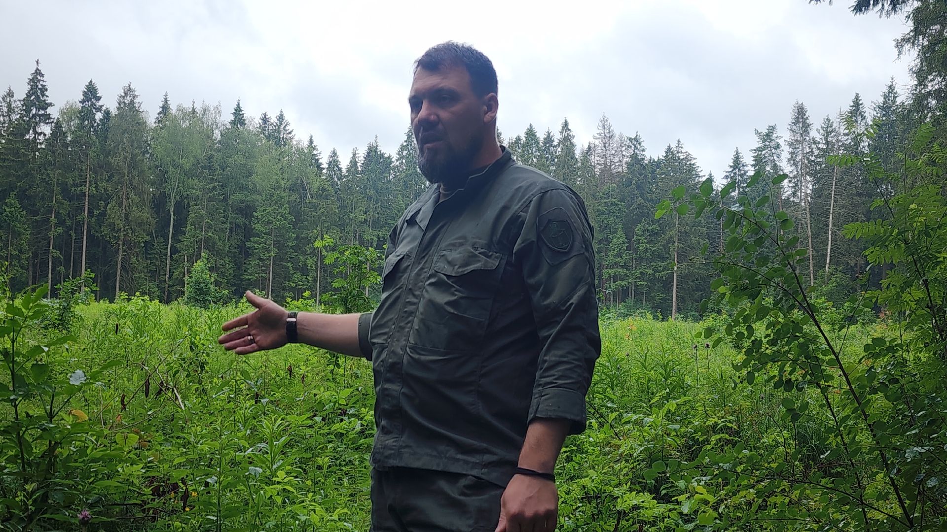 Экология, Здоровый лес, Санитарная рубка, Восстановление леса,