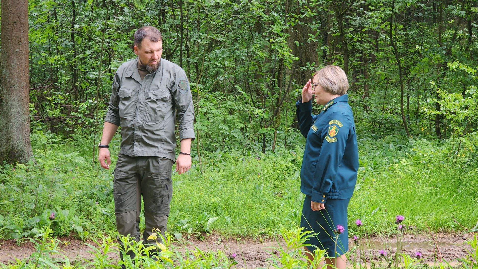 Экология, Здоровый лес, Санитарная рубка, Восстановление леса,