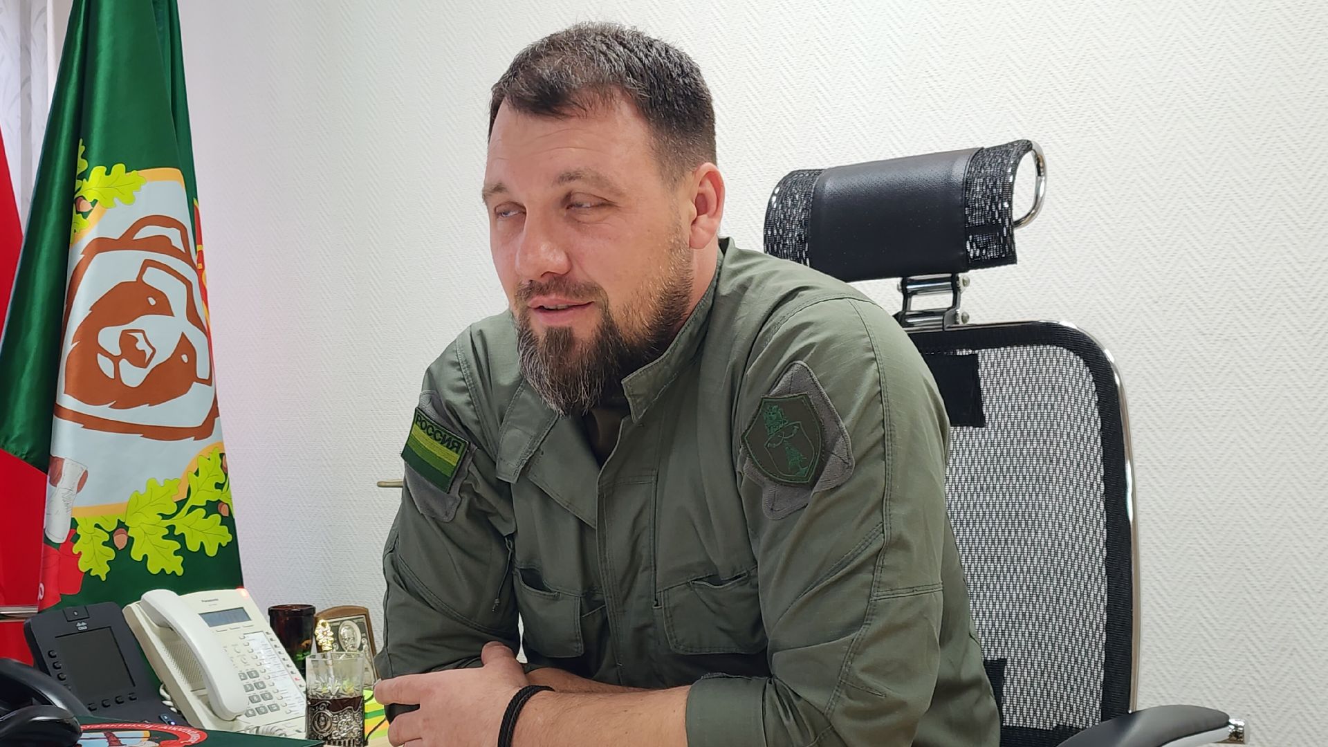 Экология, Здоровый лес, Санитарная рубка, Восстановление леса,