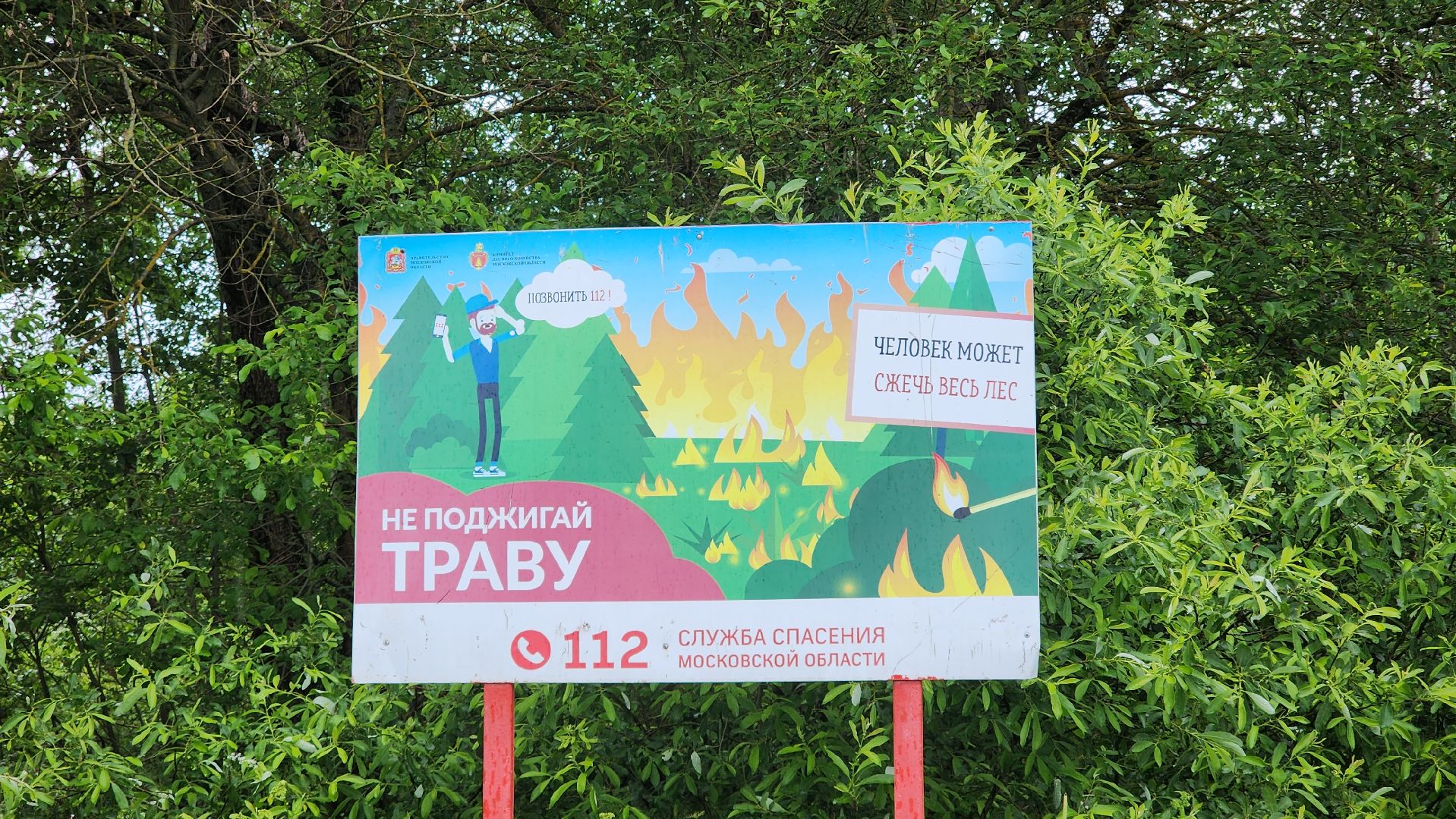 Экология , Места отдыха ,Звенигородское лесничество ,