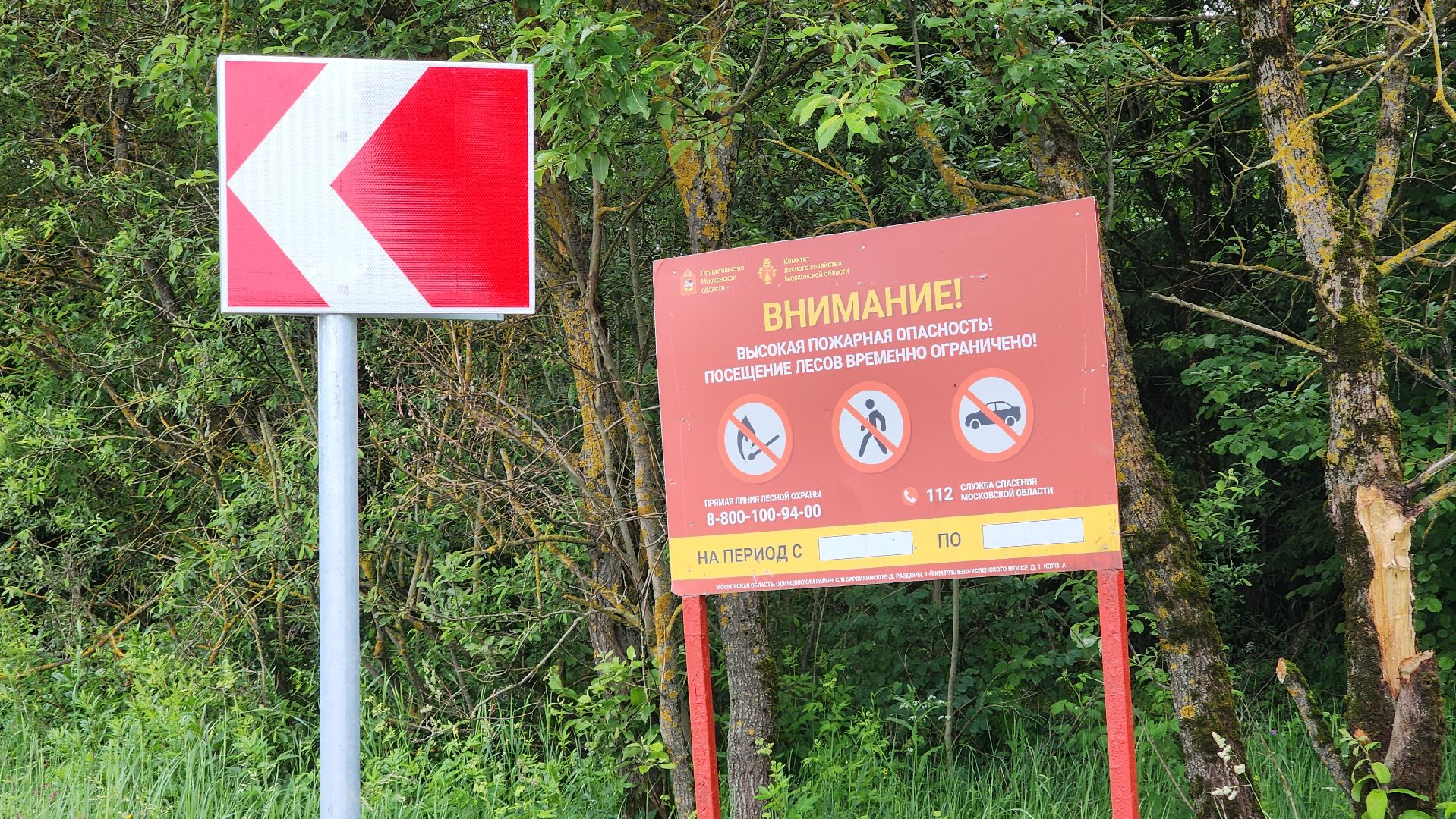 Экология , Места отдыха ,Звенигородское лесничество ,