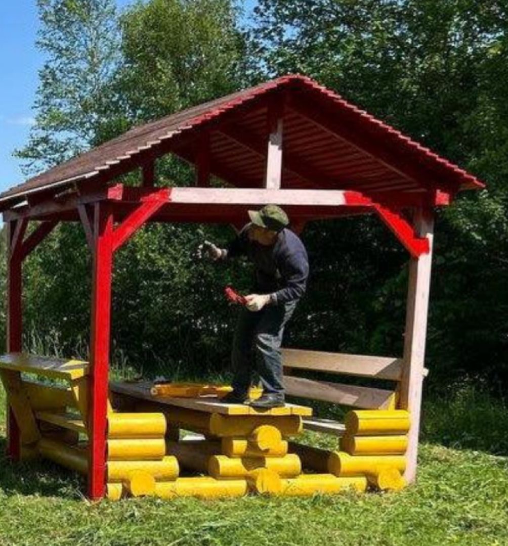 Экология , Места отдыха ,Звенигородское лесничество ,