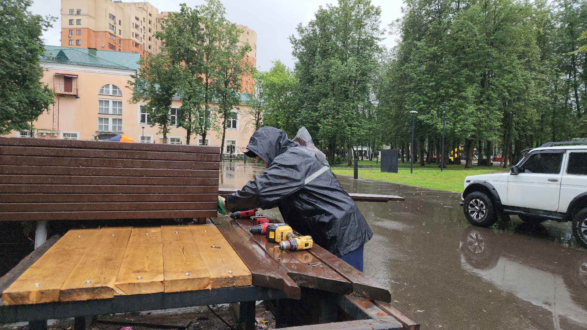 Центральный парк Пушкино , Благоустройство , скейт площадка,