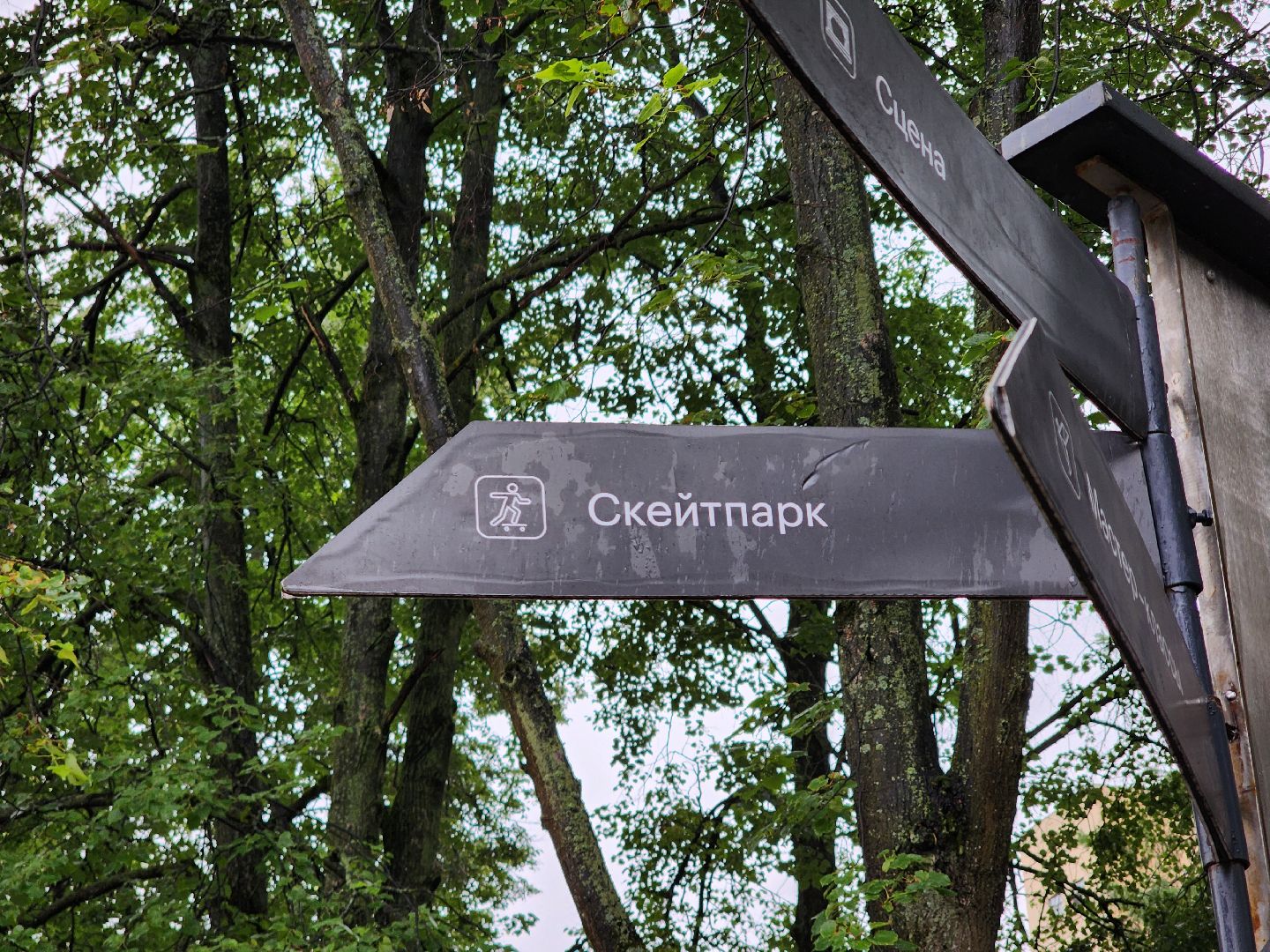 Центральный парк Пушкино , Благоустройство , скейт площадка,