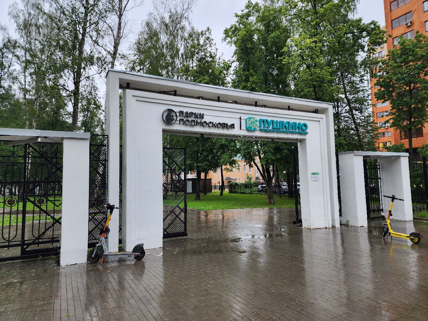 Центральный парк Пушкино , Благоустройство , скейт площадка,