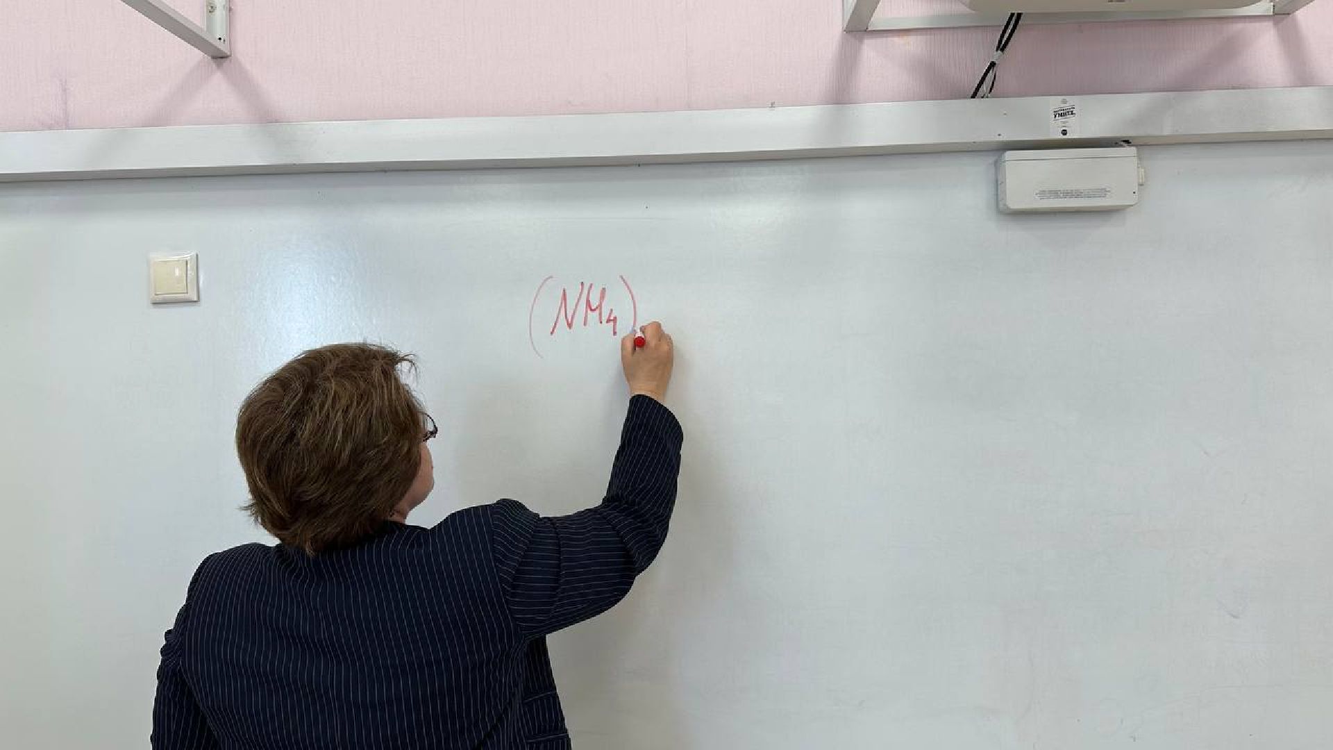 учитель, домодедово, егэ по химии,