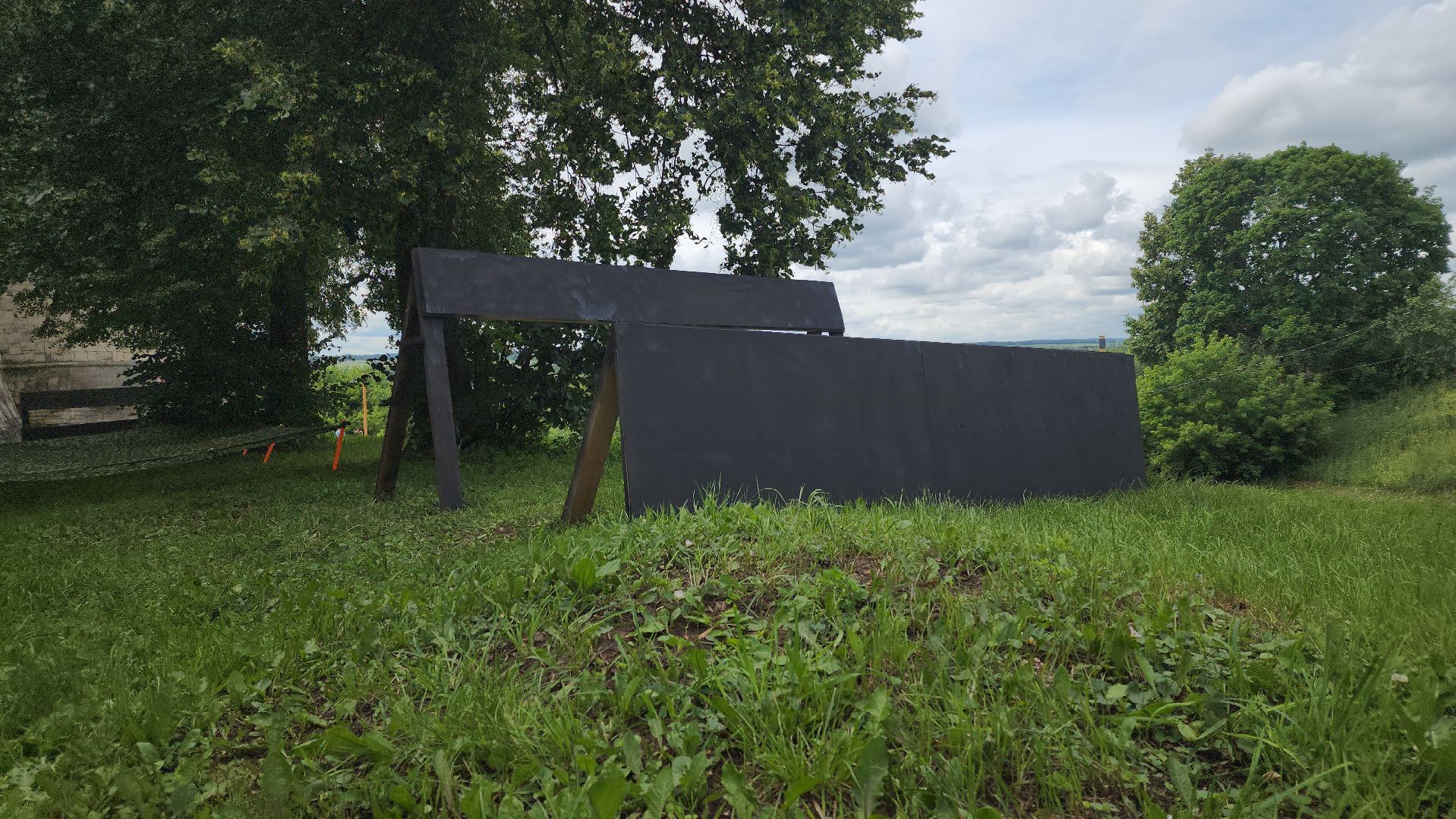 зарайск, Экстремальный забег, Зарайский бизон, ЗБ,