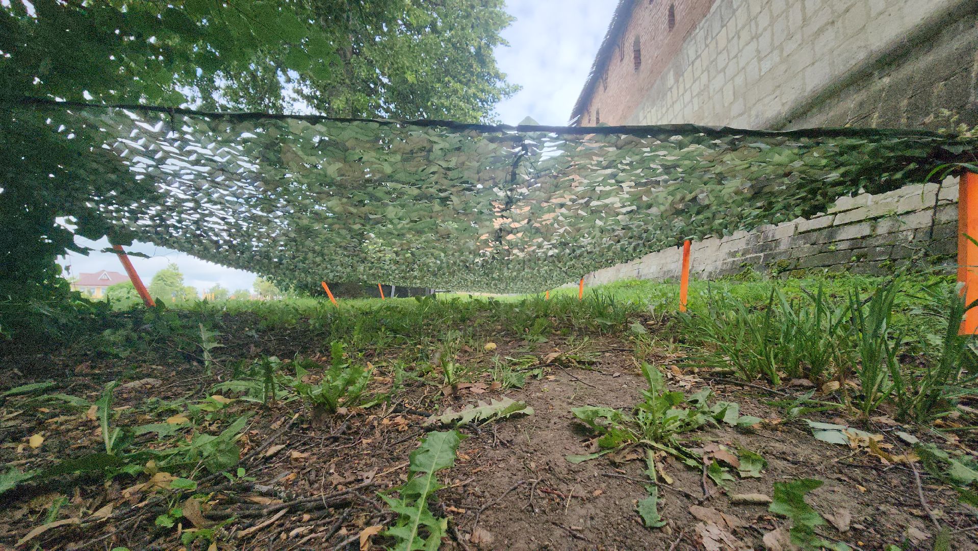 зарайск, Экстремальный забег, Зарайский бизон, ЗБ,