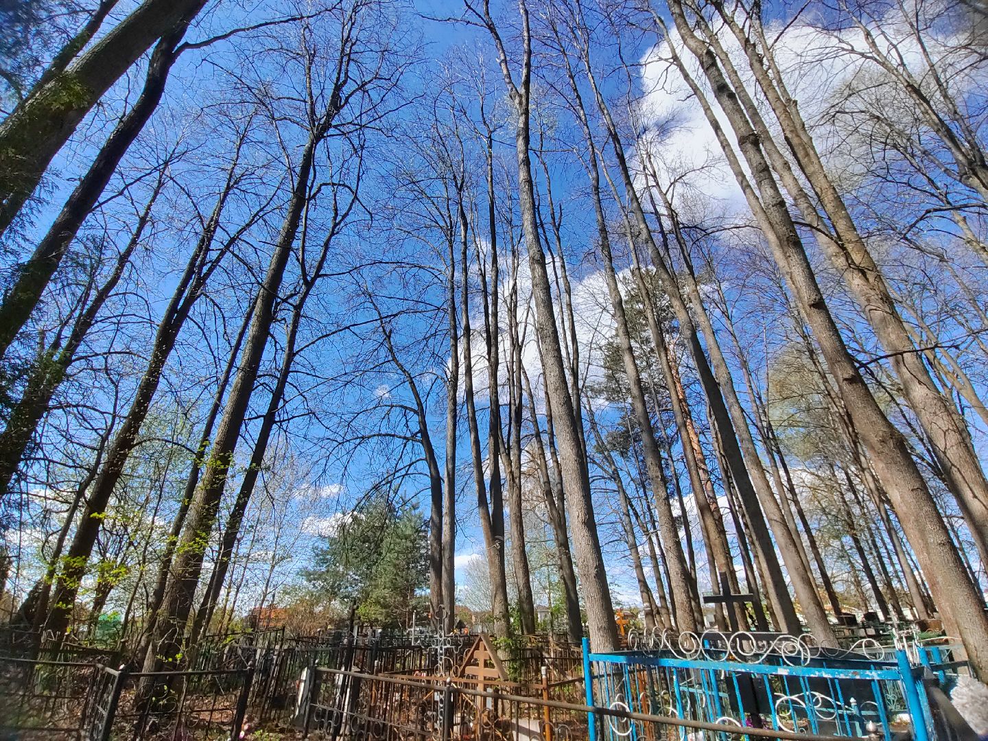 Пушкино, Пушкинский округ, Ельдигино, Память, День Победы, 9 мая