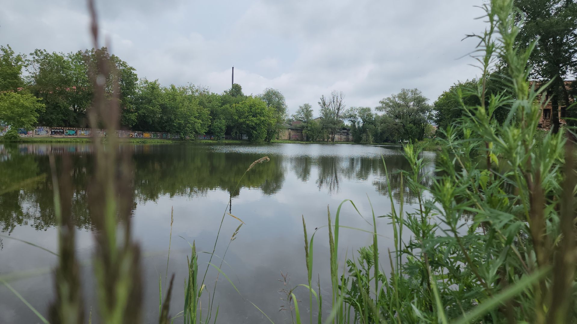 Егорьевск, Подмосковье, Московская область,