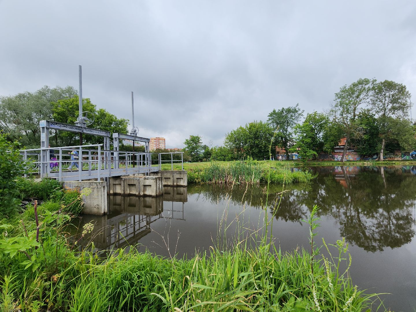Егорьевск, Подмосковье, Московская область,