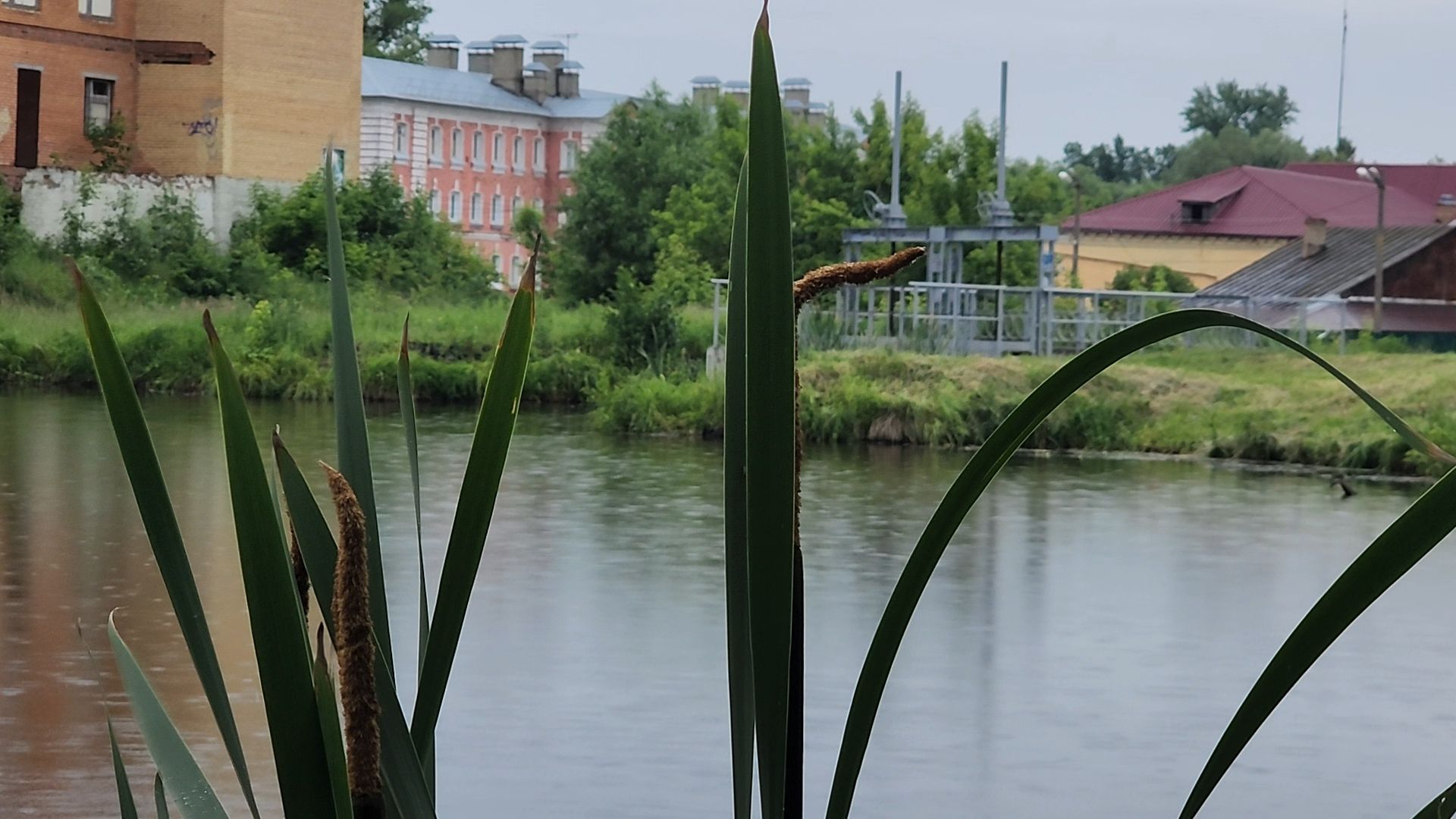 Егорьевск, Подмосковье, Московская область,