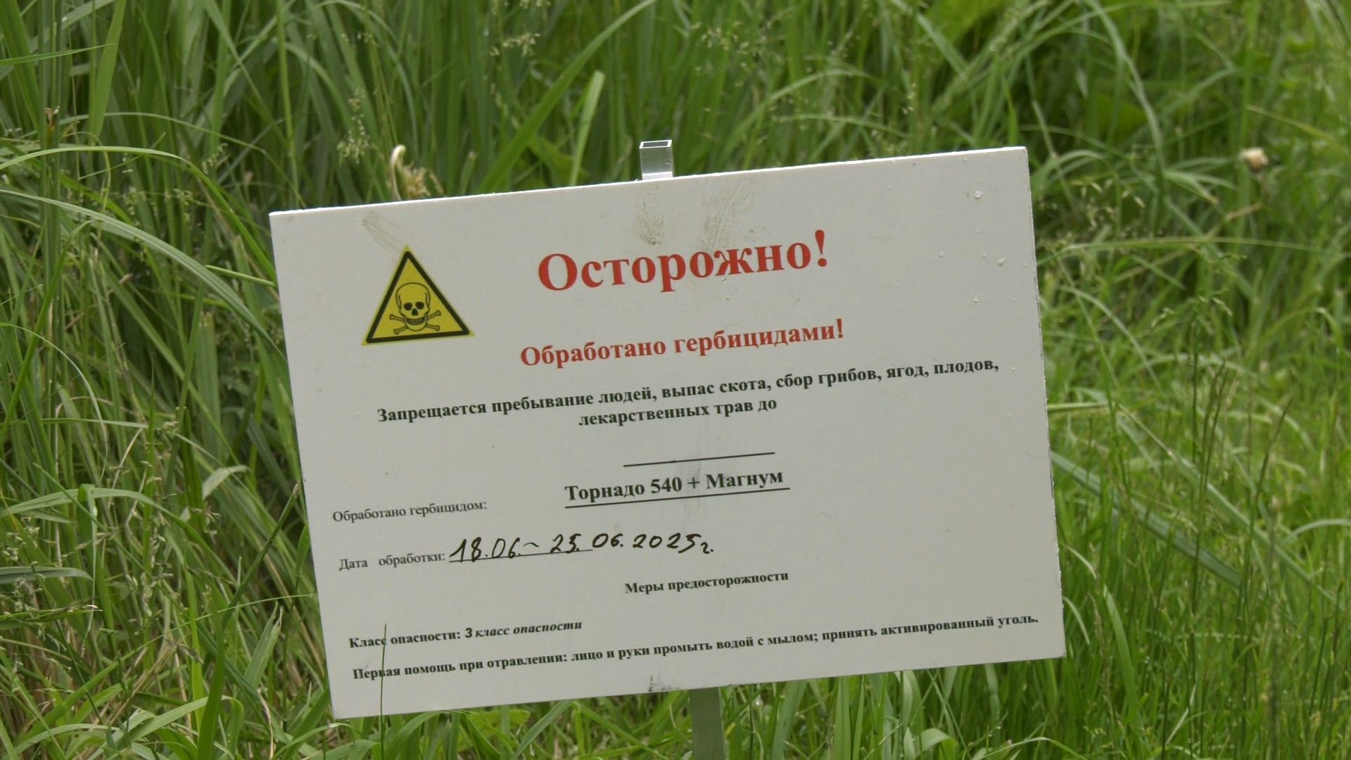 Егорьевск, Подмосковье, Московская область,