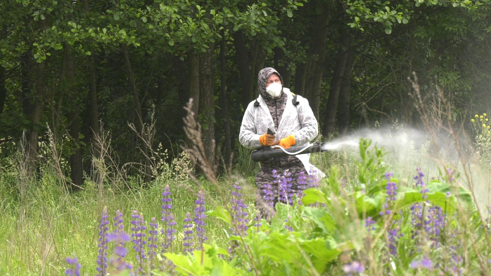 Егорьевск, Подмосковье, Московская область,