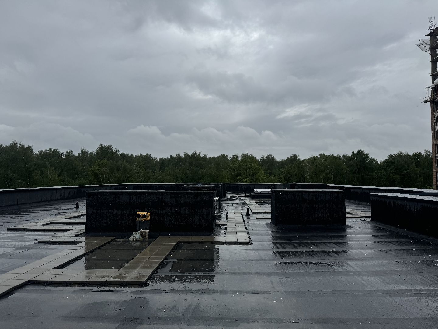 строительство детского сада, ленинский округ, группа компании самолет,жк пригород лесное,