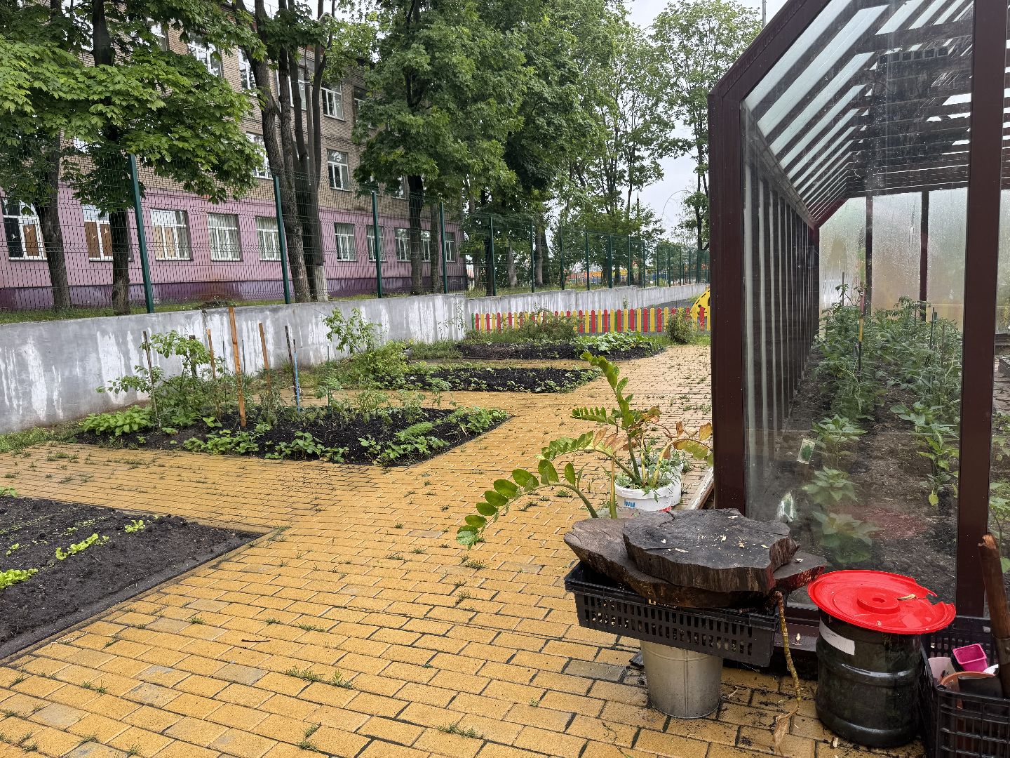 школьная теплица , балашиха, МБОУ Гимназия 1 им. Героя Российской Федерации А.В. Баландина,