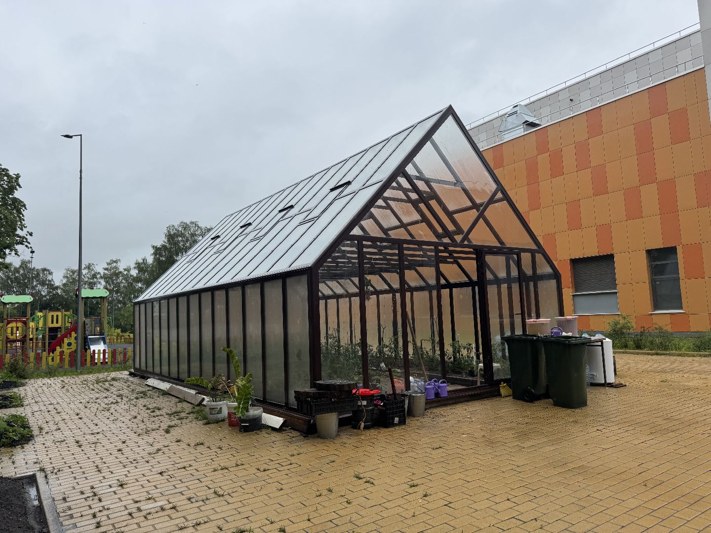 школьная теплица , балашиха, МБОУ Гимназия 1 им. Героя Российской Федерации А.В. Баландина,