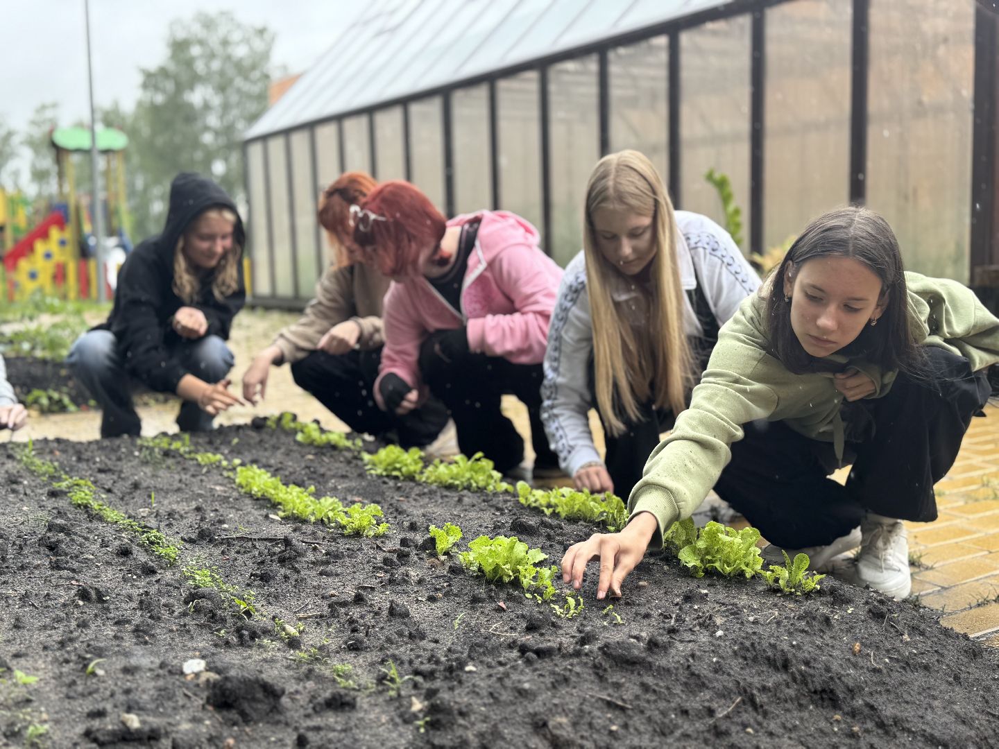школьная теплица , балашиха, МБОУ Гимназия 1 им. Героя Российской Федерации А.В. Баландина,