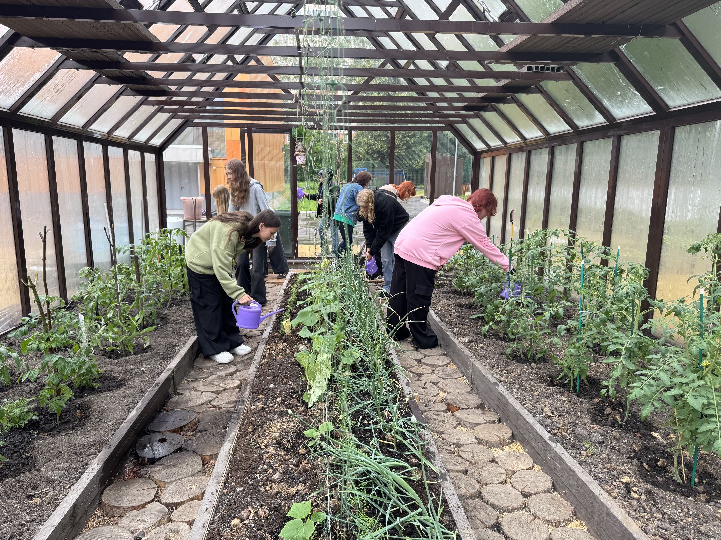 школьная теплица , балашиха, МБОУ Гимназия 1 им. Героя Российской Федерации А.В. Баландина,