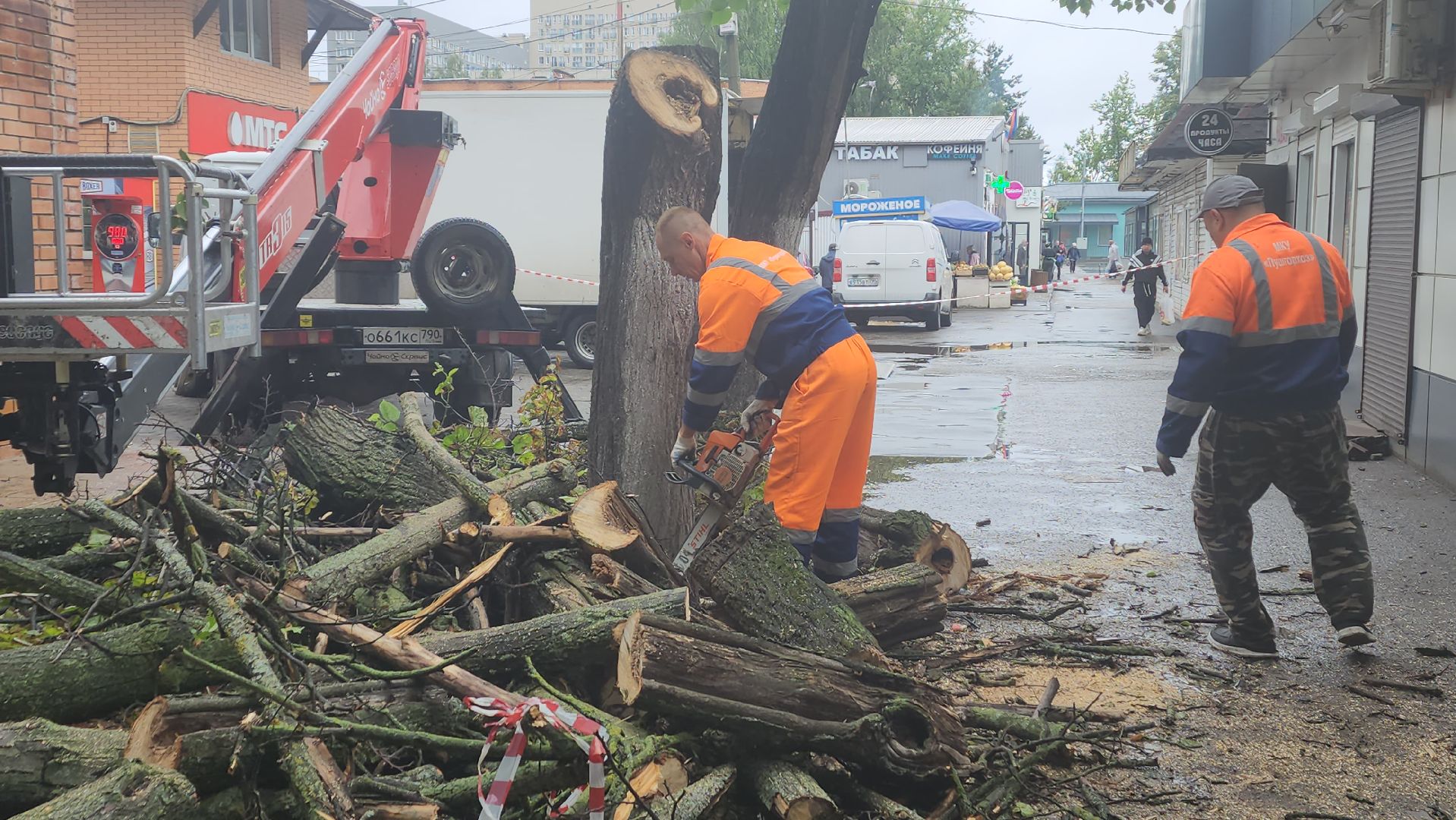 вертикалки, пушкино, удаление сухостоя, удаление аварийных деревьев, удаление деревьев, коммунальная служба,
